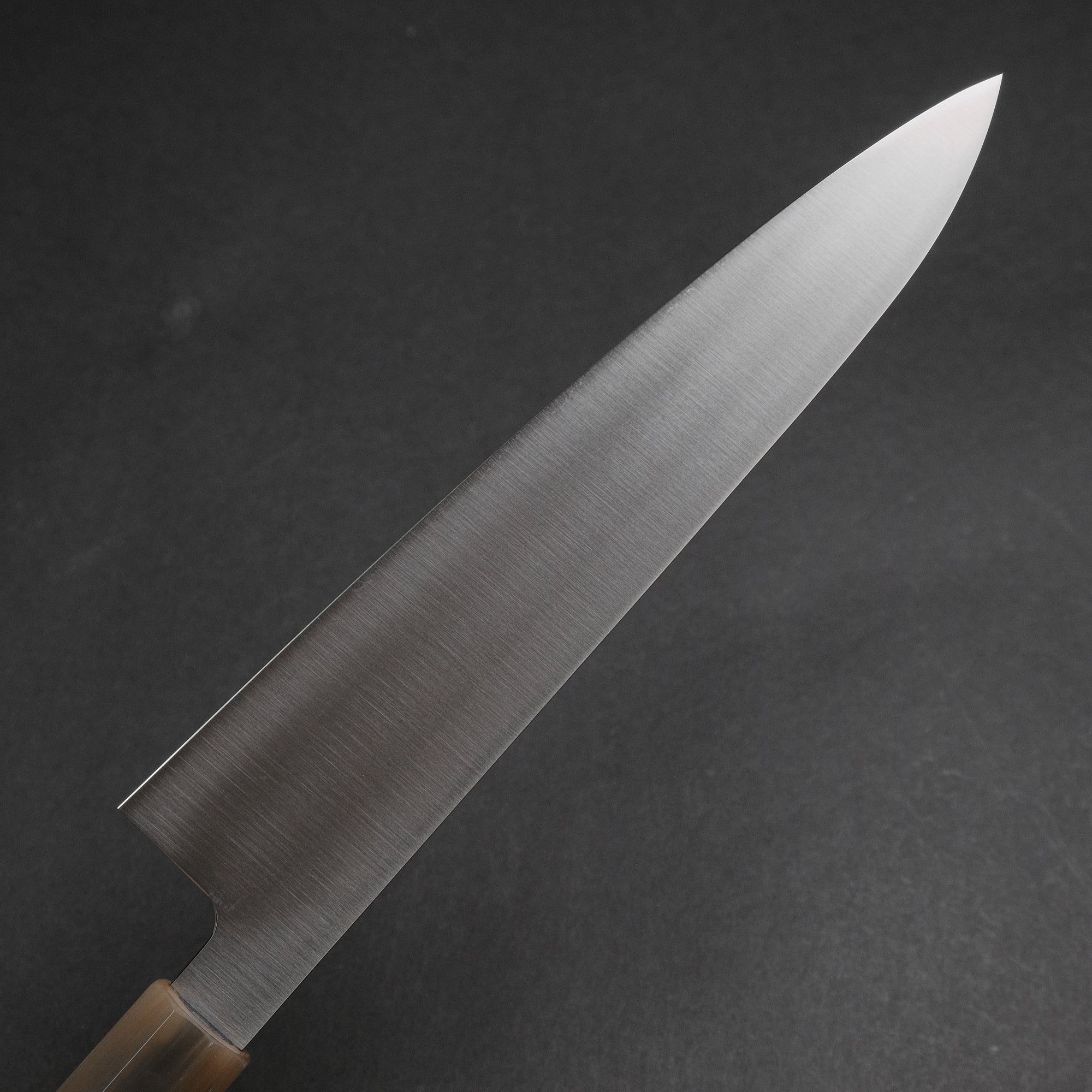 Hitohira FJ VG-10 Wa Gyuto 210mm Taihei Rosewood Handle
