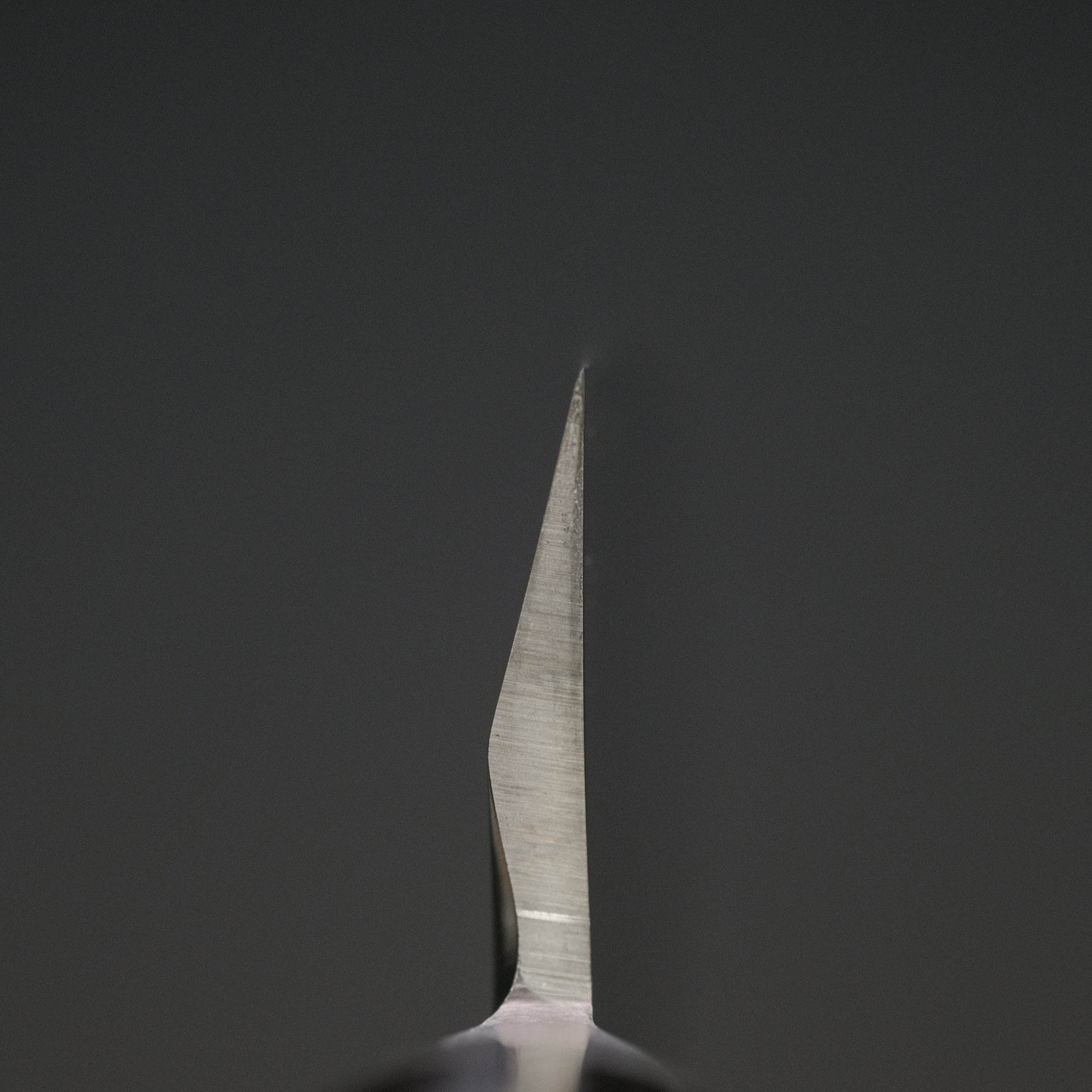 Hitohira FJ VG-1 Deba 150mm Pakka Handle