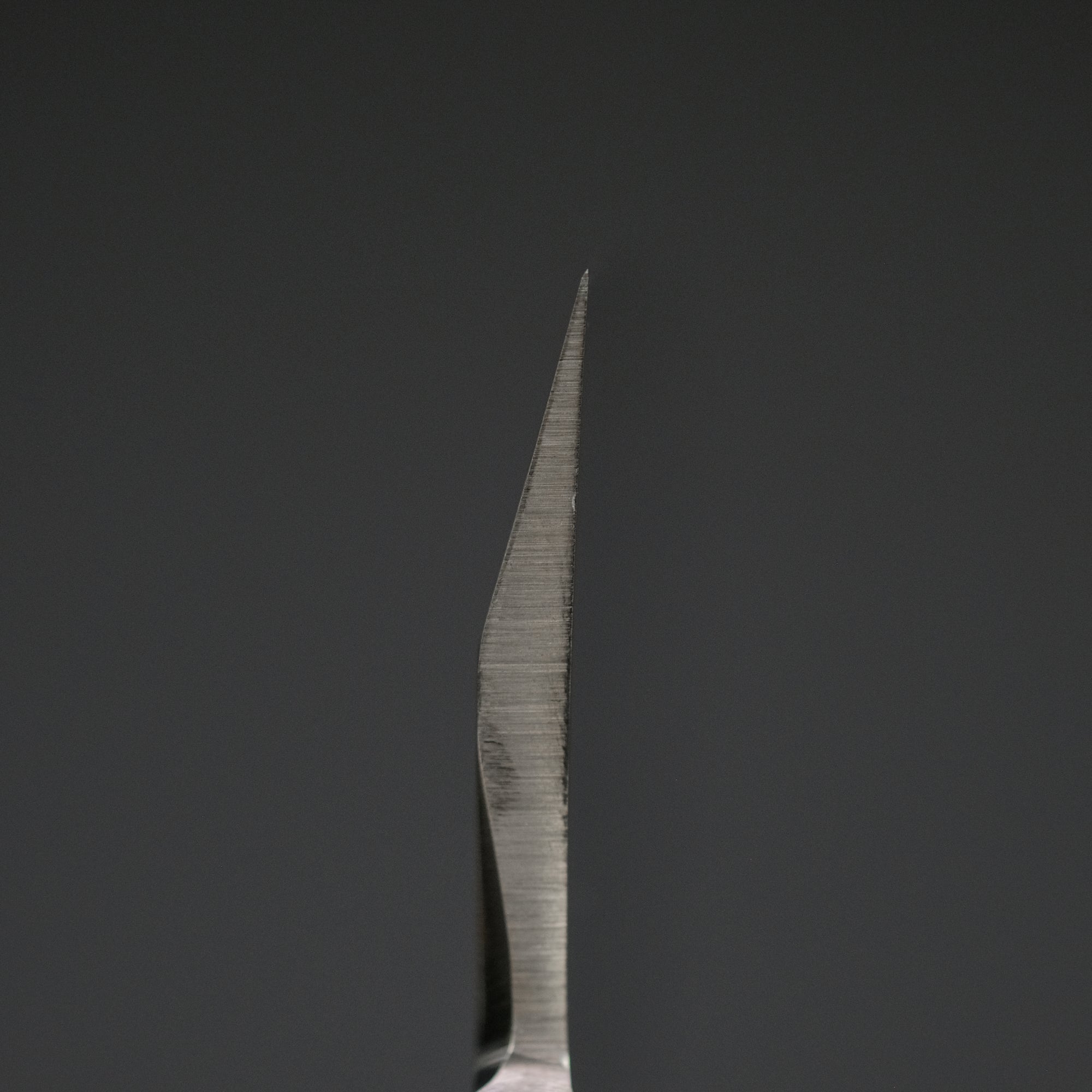 Hitohira FJ VG-1 Deba 180mm Pakka Handle