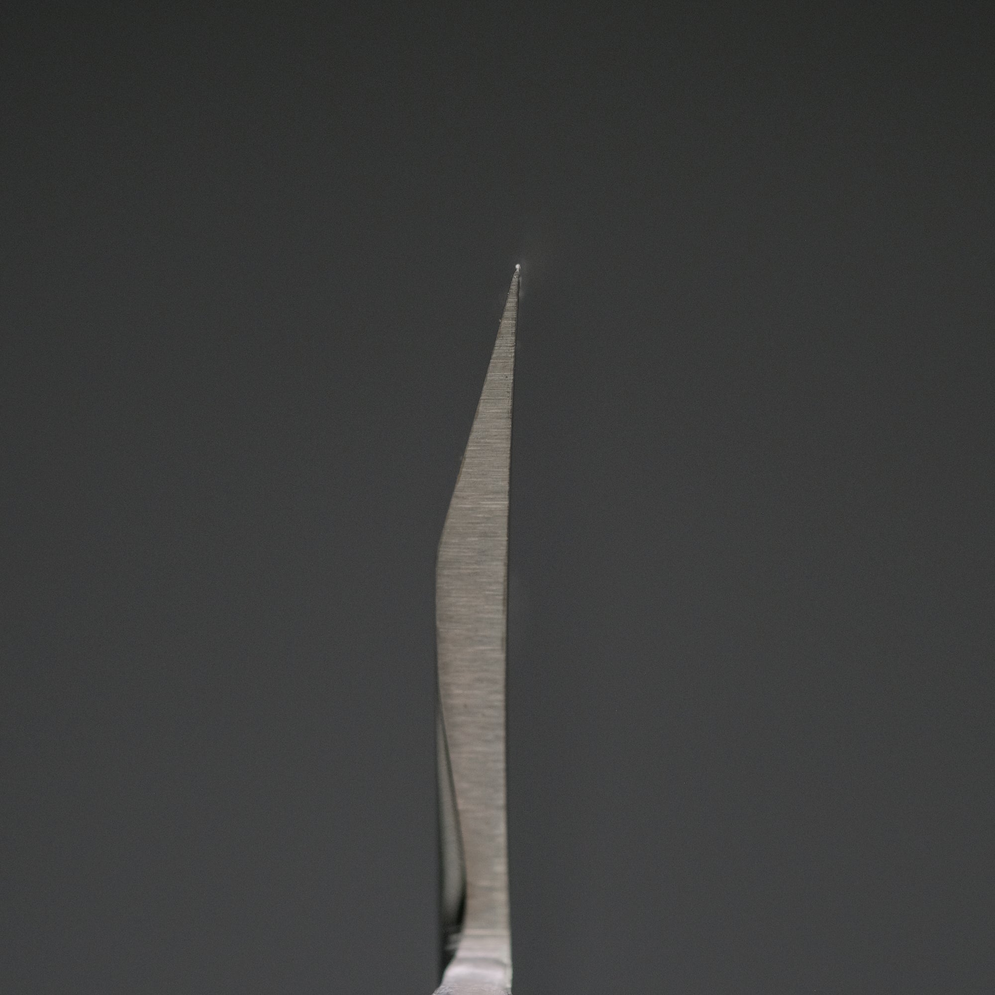 Hitohira FJ VG-1 Deba 210mm Pakka Handle