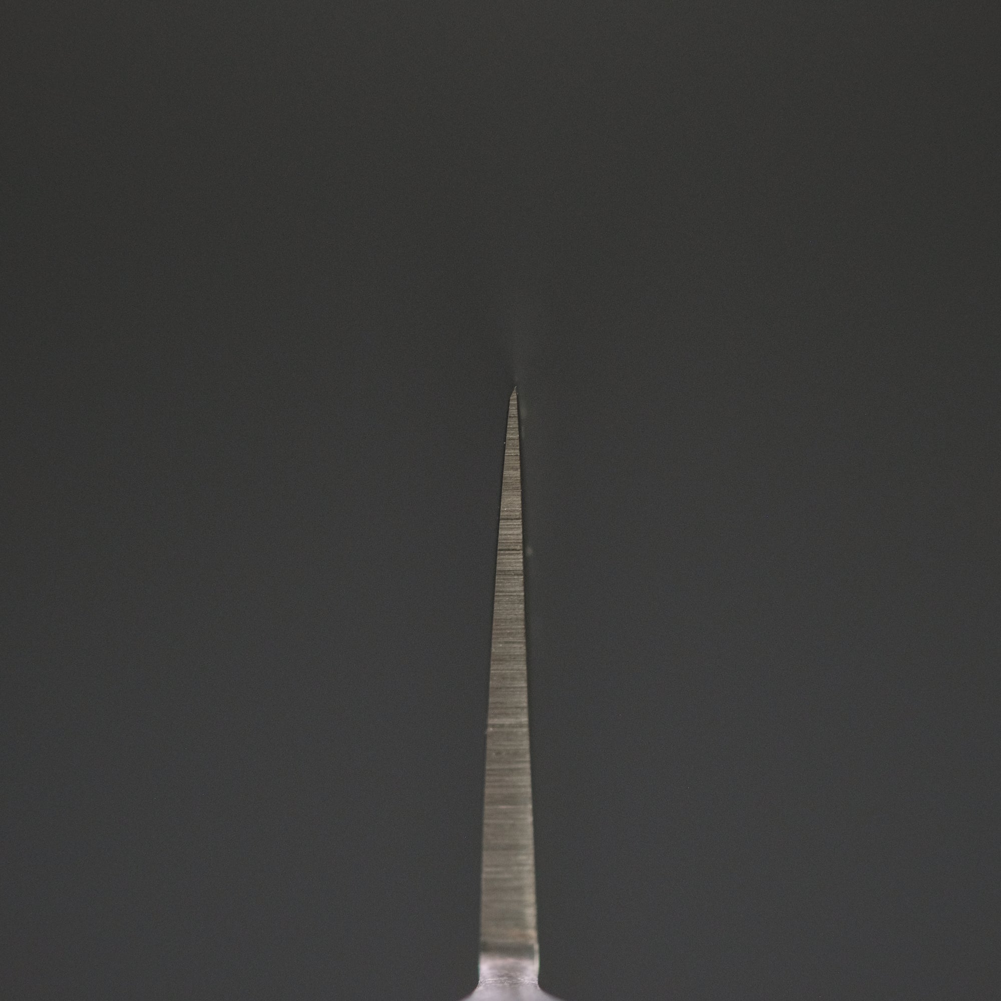 Hitohira FJ VG-1 Sujihiki 300mm Pakka Handle