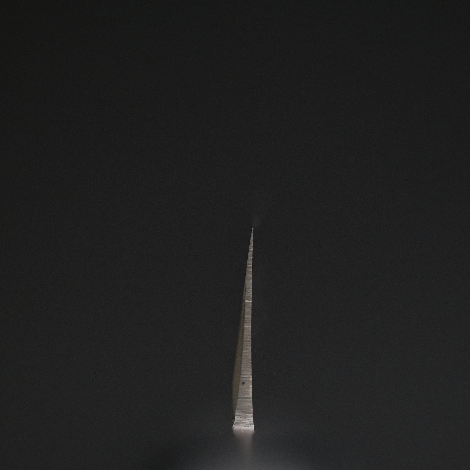 Hitohira FJ VG-1 Yanagiba 300mm Pakka Handle