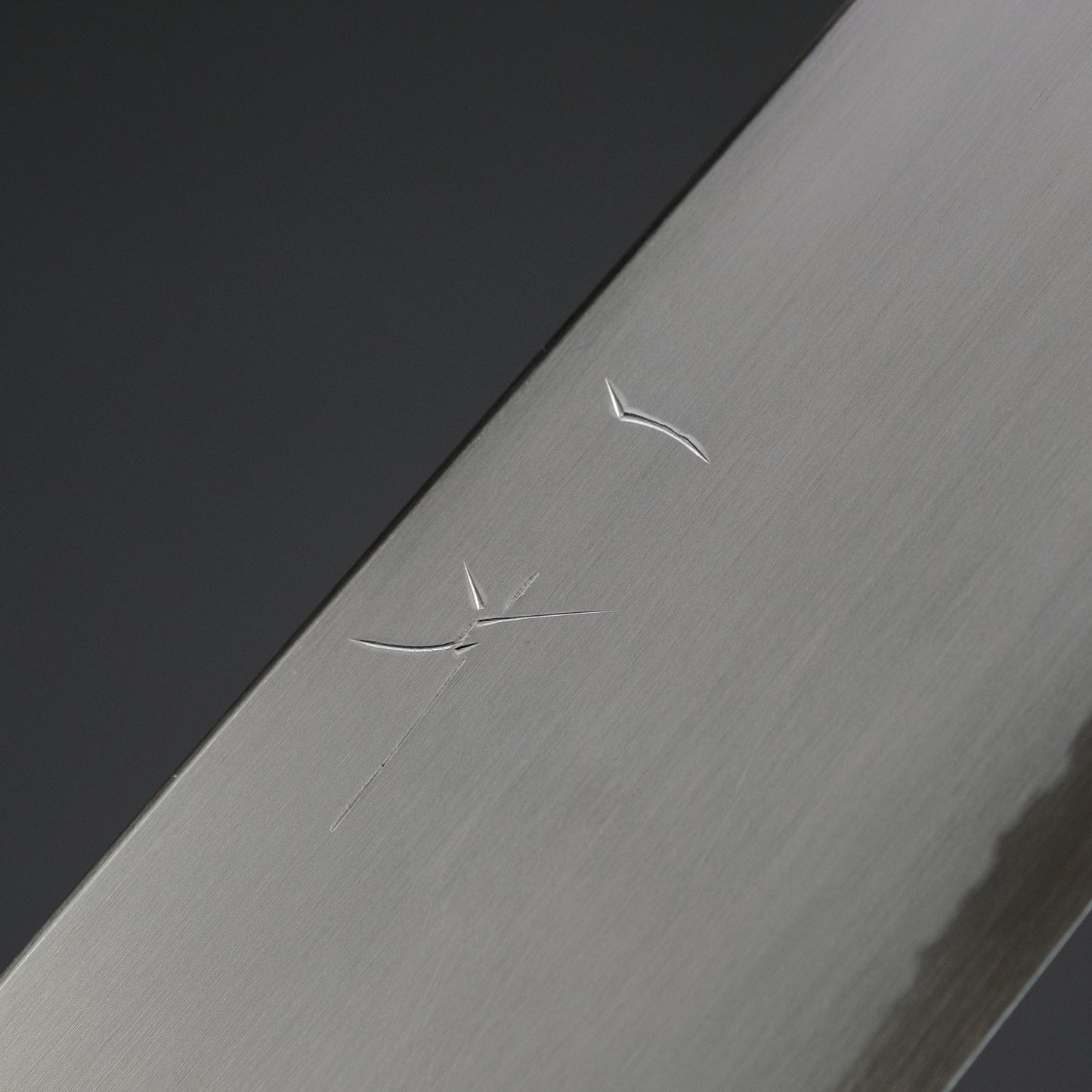 Hitohira Gorobei Rikichi White #2 Kasumi Gyuto 240mm Ho Wood Handle