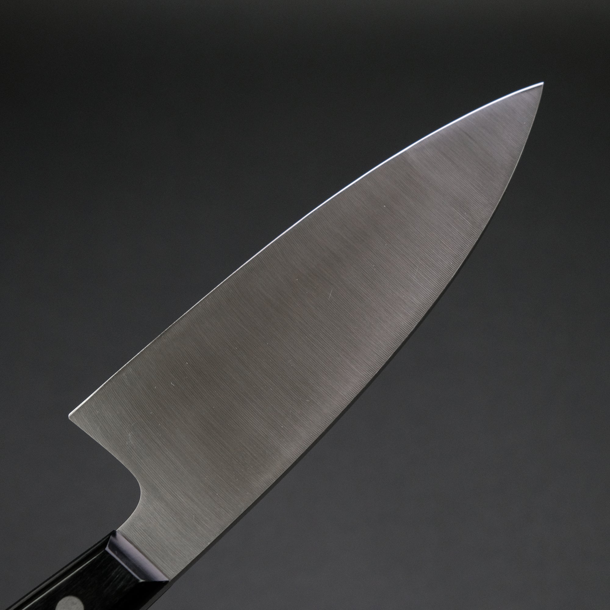 Hitohira Hiragana Deba 150mm Pakka Handle (No Bolster)