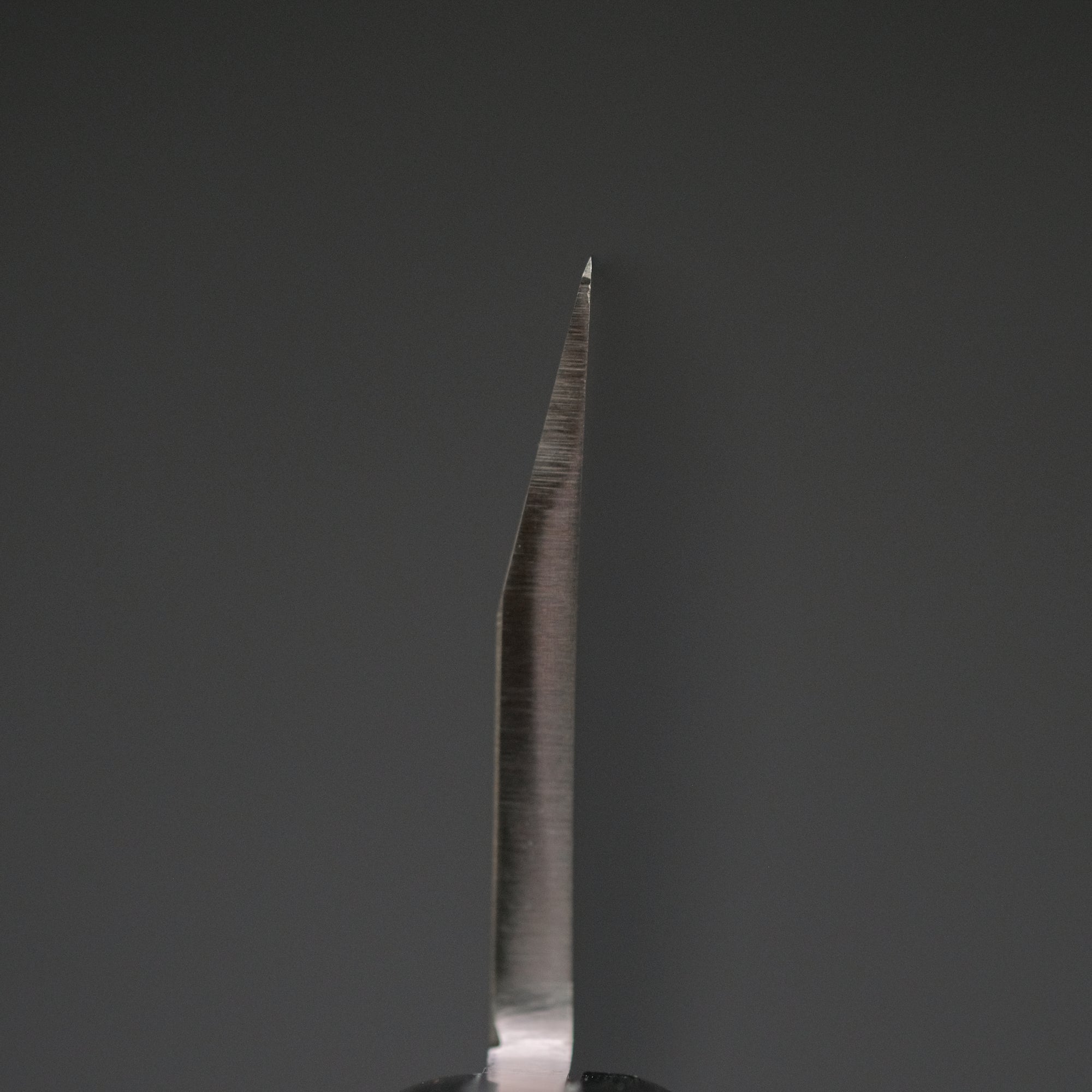 Hitohira Hiragana Deba 210mm Pakka Handle (No Bolster)