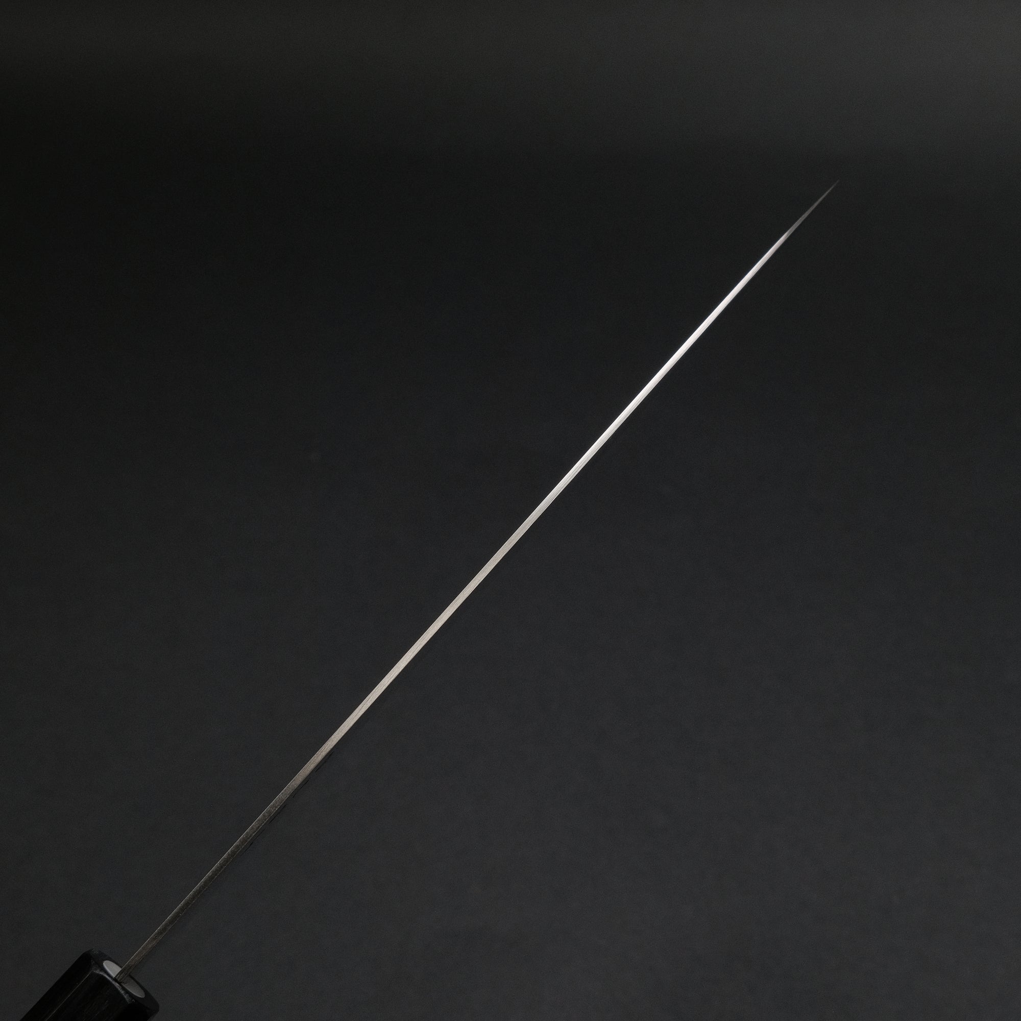 Hitohira Hiragana WS Gyuto 210mm Pakka Handle