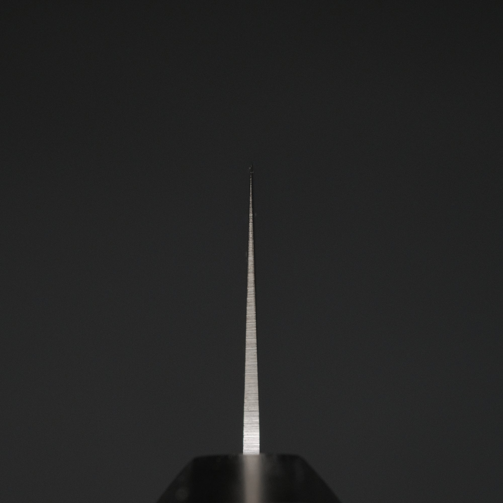 Hitohira Hiragana WS Gyuto 210mm Pakka Handle
