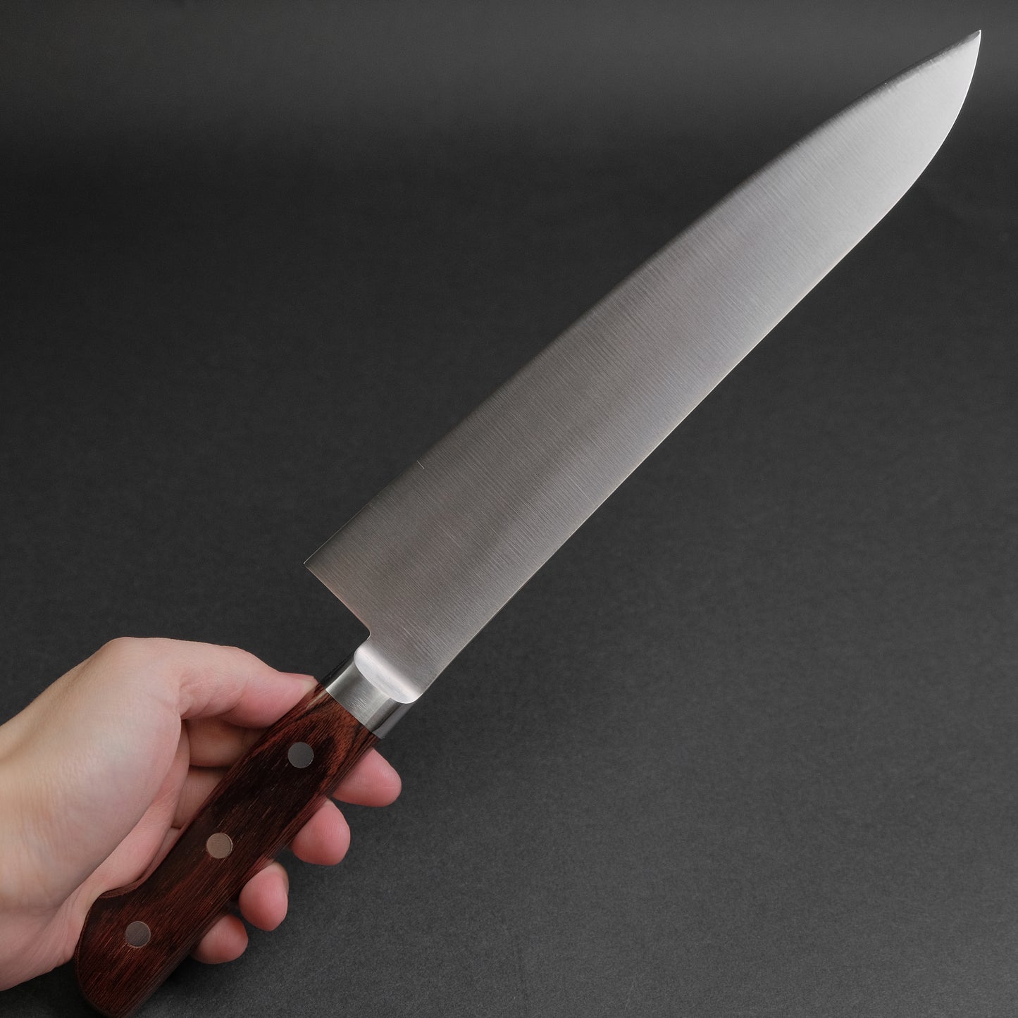 Hitohira KH Stainless Gyuto 240mm Imitation Mahogany Handle