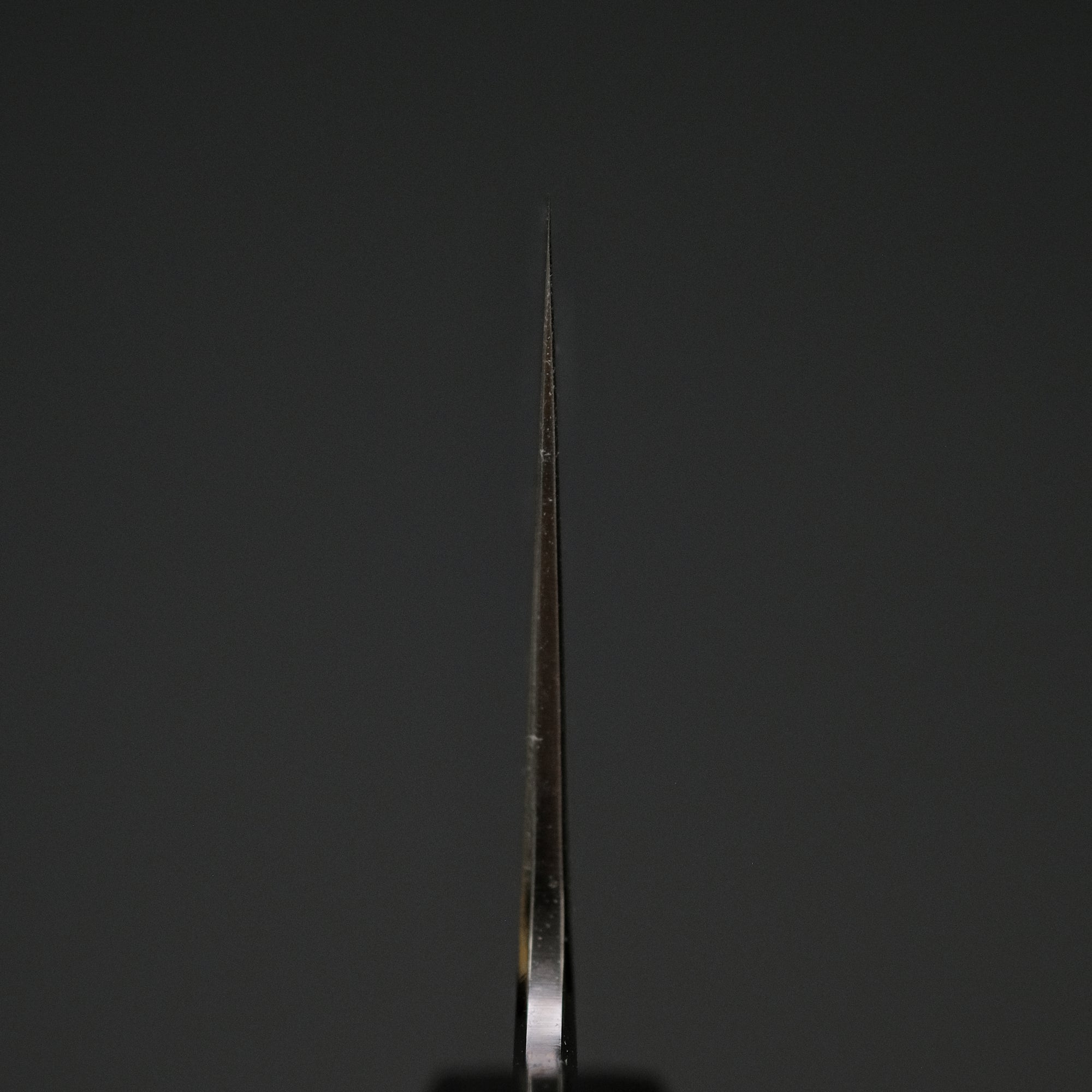 Hitohira Nakagawa Izo Silver 