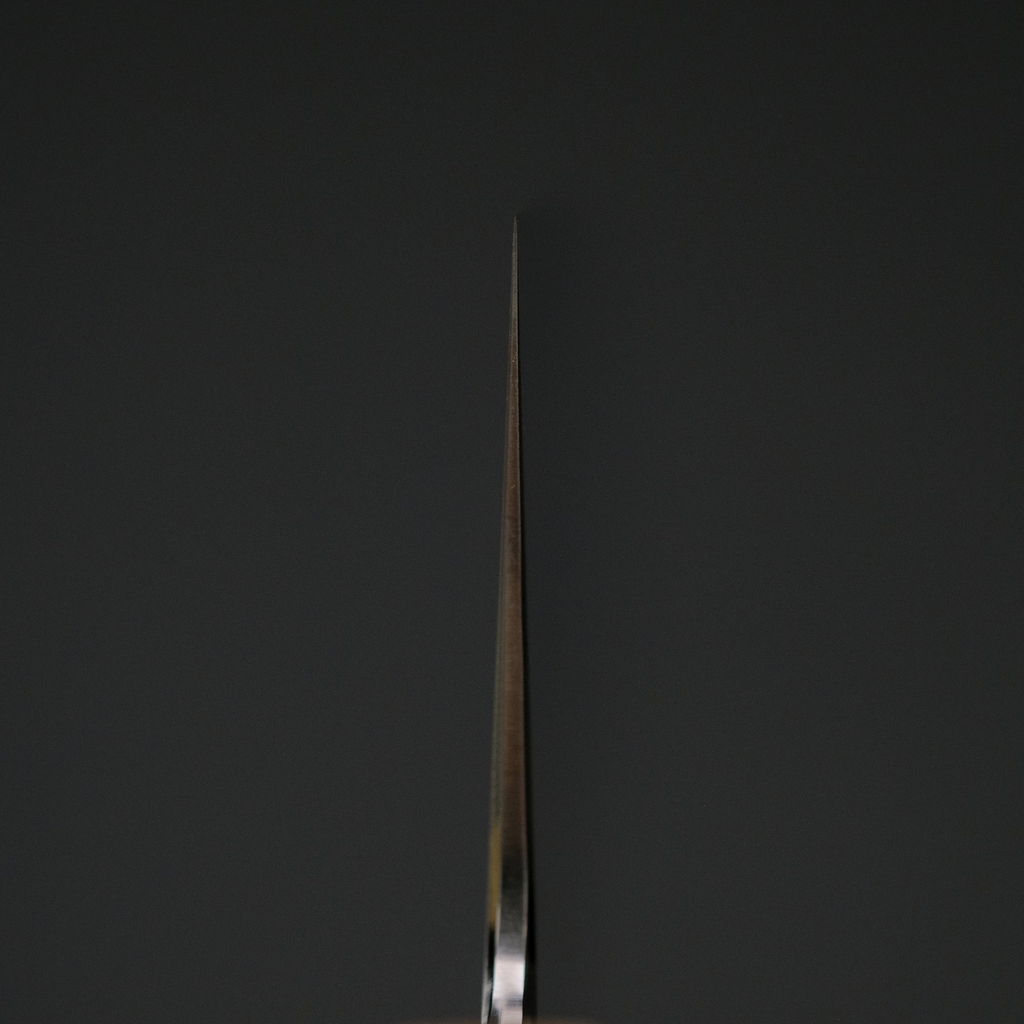 Hitohira Nakagawa Izo Silver 