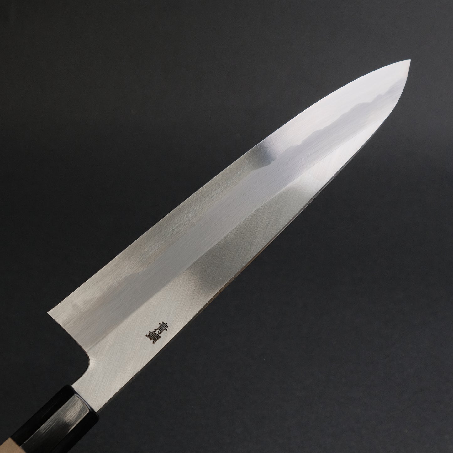 Hitohira Kikuchiyo Ren Blue #2 Gyuto 240mm Ho Wood Handle