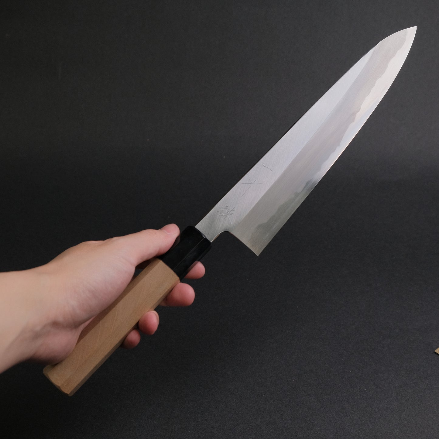 Hitohira Kikuchiyo Ren Blue #2 Gyuto 240mm Ho Wood Handle