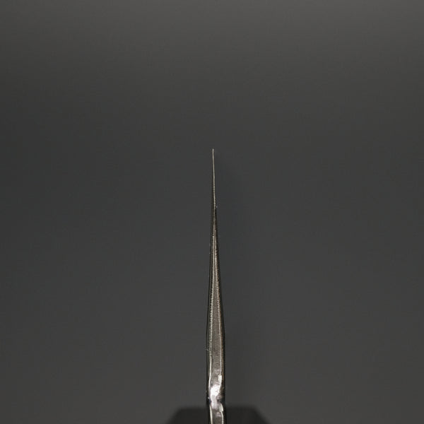 Hitohira Kikuchiyo Ren Silver #3 Gyuto 240mm Ho Wood Handle