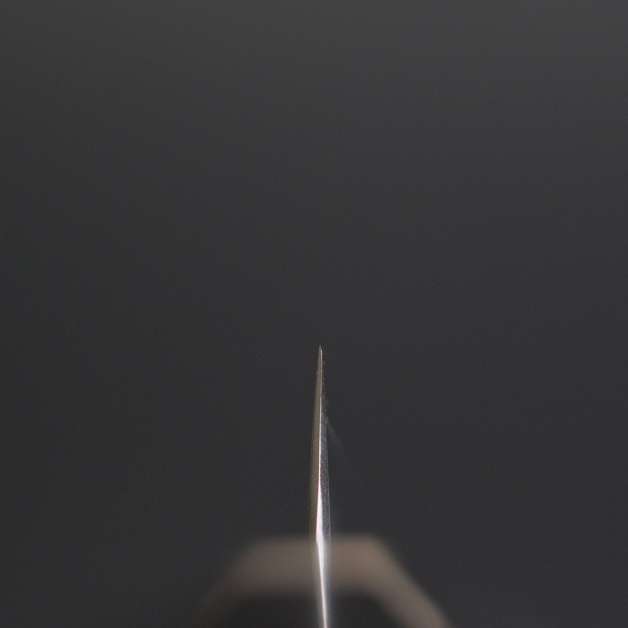 Hitohira Nakagawa Yohei Ginsan Kasumi Petty 150mm Ebony Handle
