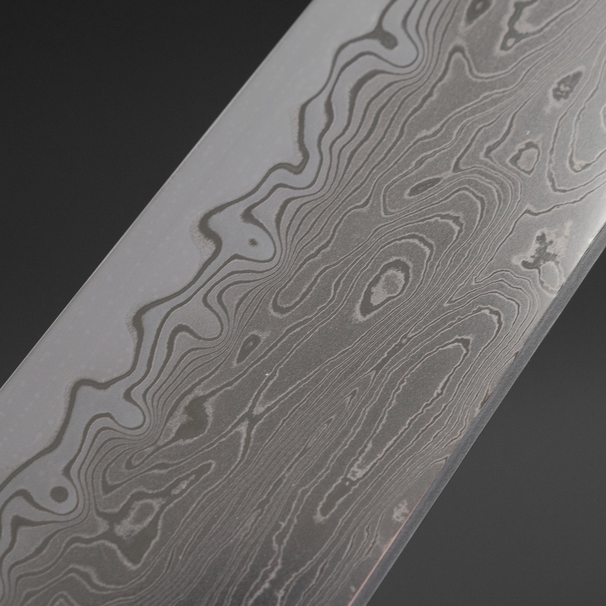 Hitohira Nakagawa Izo SG STRIX Kiritsuke Gyuto 240mm Ebony Handle