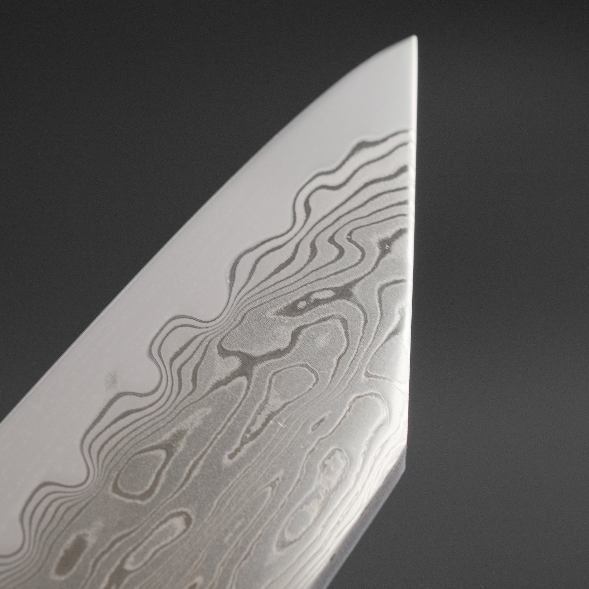 Hitohira Nakagawa Izo SG STRIX Kiritsuke Gyuto 240mm Ebony Handle