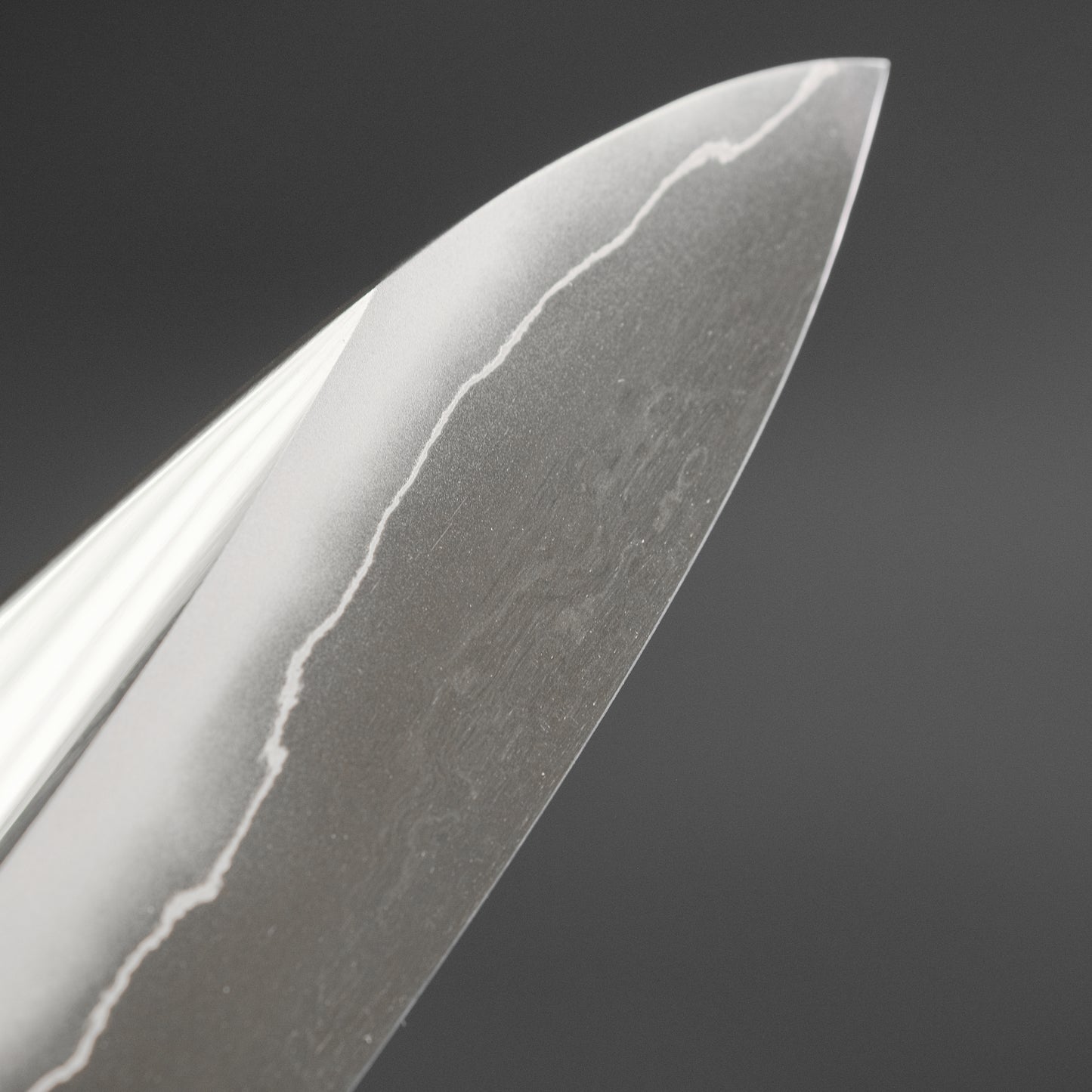 Hitohira Nakagawa Rou Silver #3 Mirror Polished Gyuto 240mm Ebony Handle