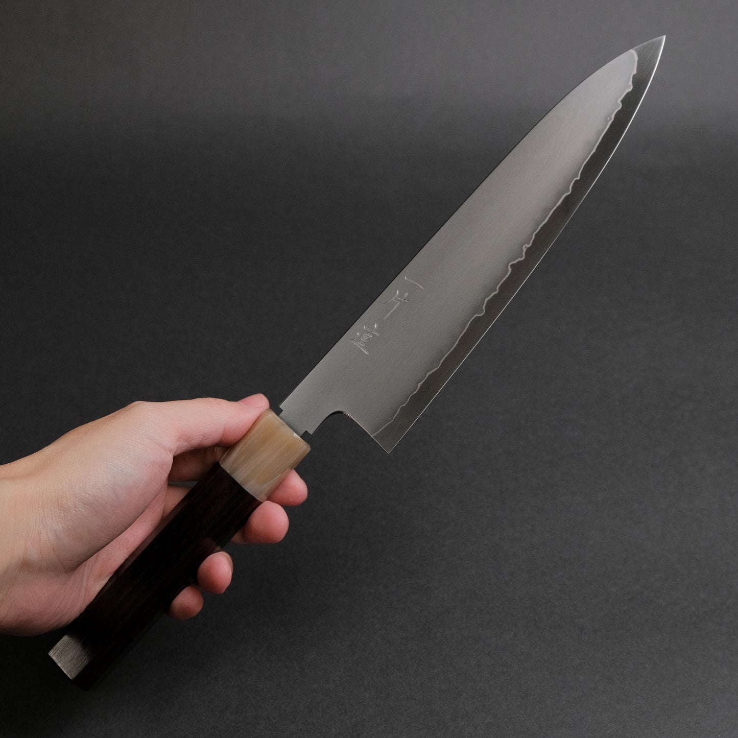 Hitohira Nao SG2 Kasumi Gyuto 210mm Ebony Handle
