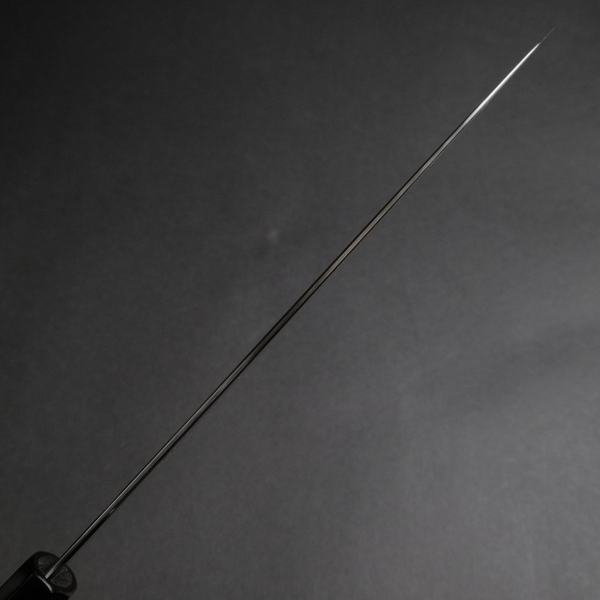 Hitohira Nao SG2 Kasumi Gyuto 240mm Ebony Handle