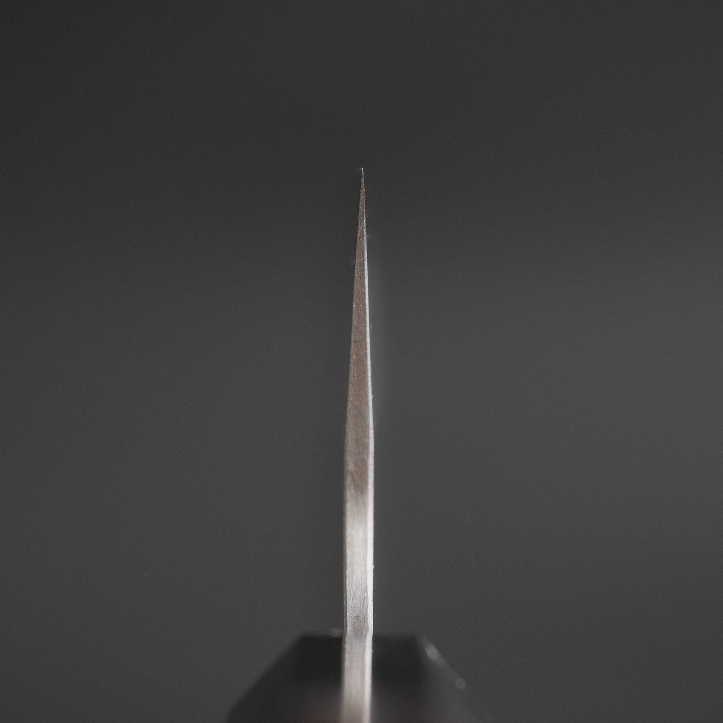 Hitohira Silver #3 Nashiji Gyuto 240mm Ebony Handle