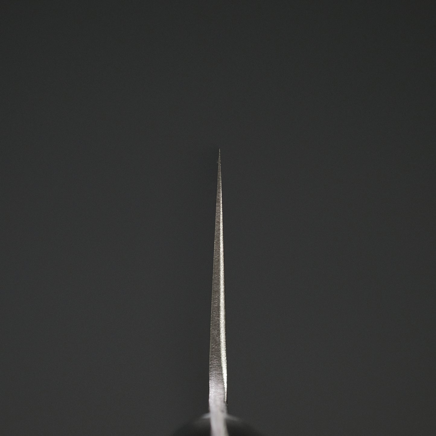 Hitohira T10 Tsuchime Gyuto 180mm Pakka Handle