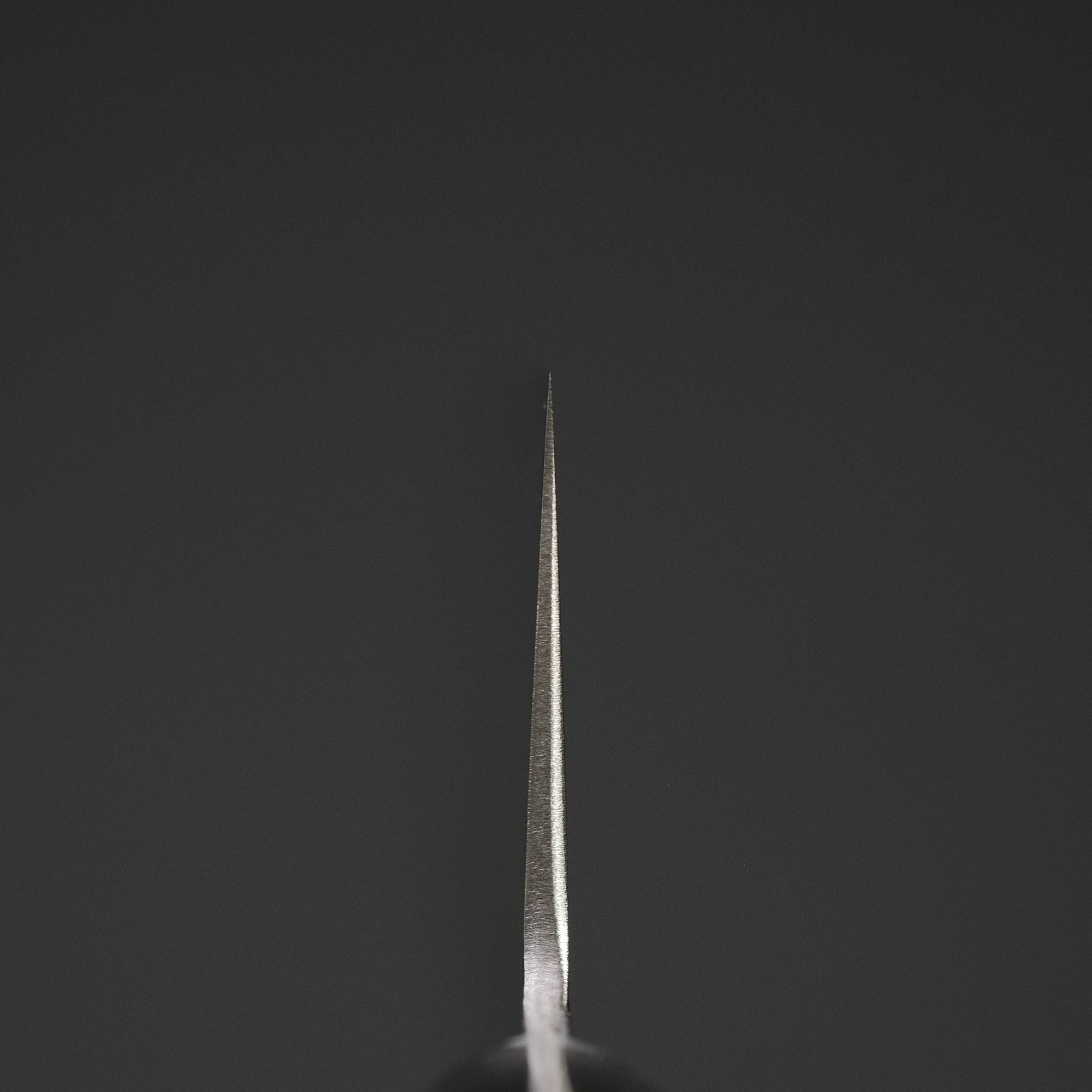 Hitohira T10 Tsuchime Gyuto 180mm Pakka Handle