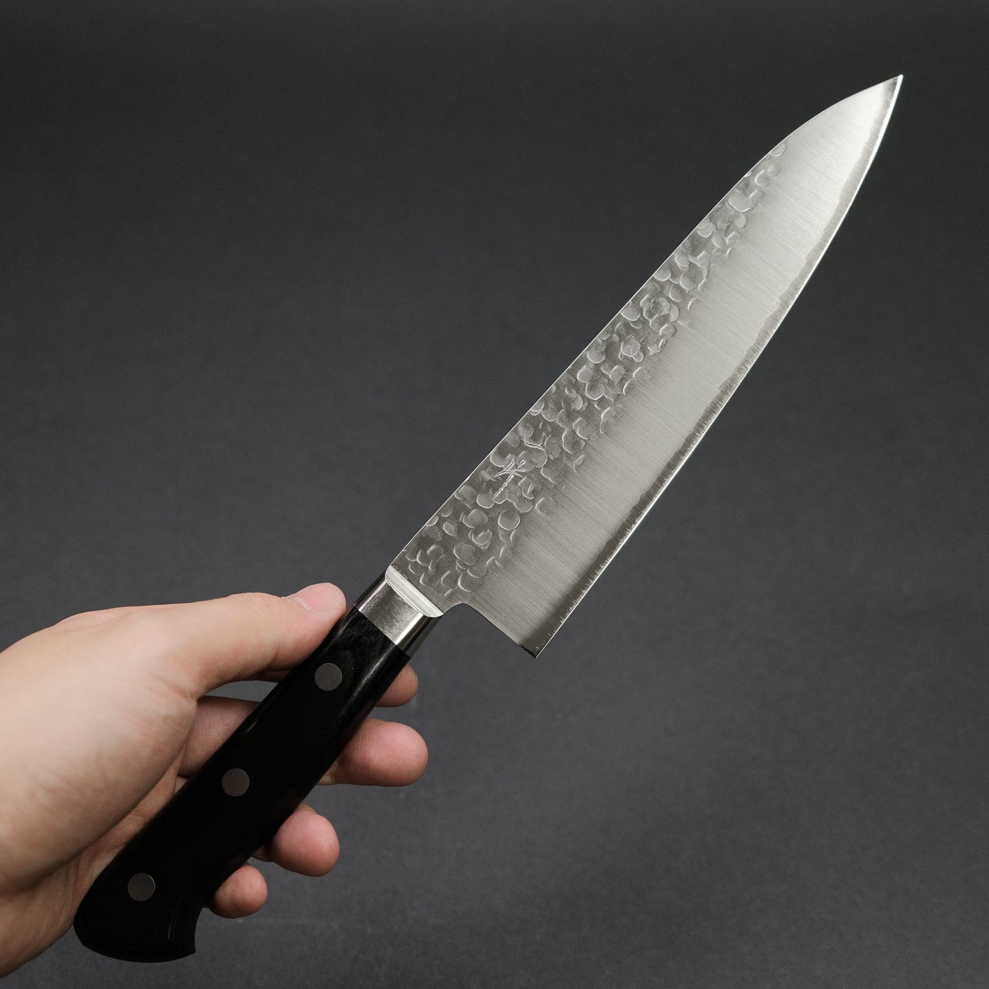 Hitohira T10 Tsuchime Gyuto 180mm Pakka Handle