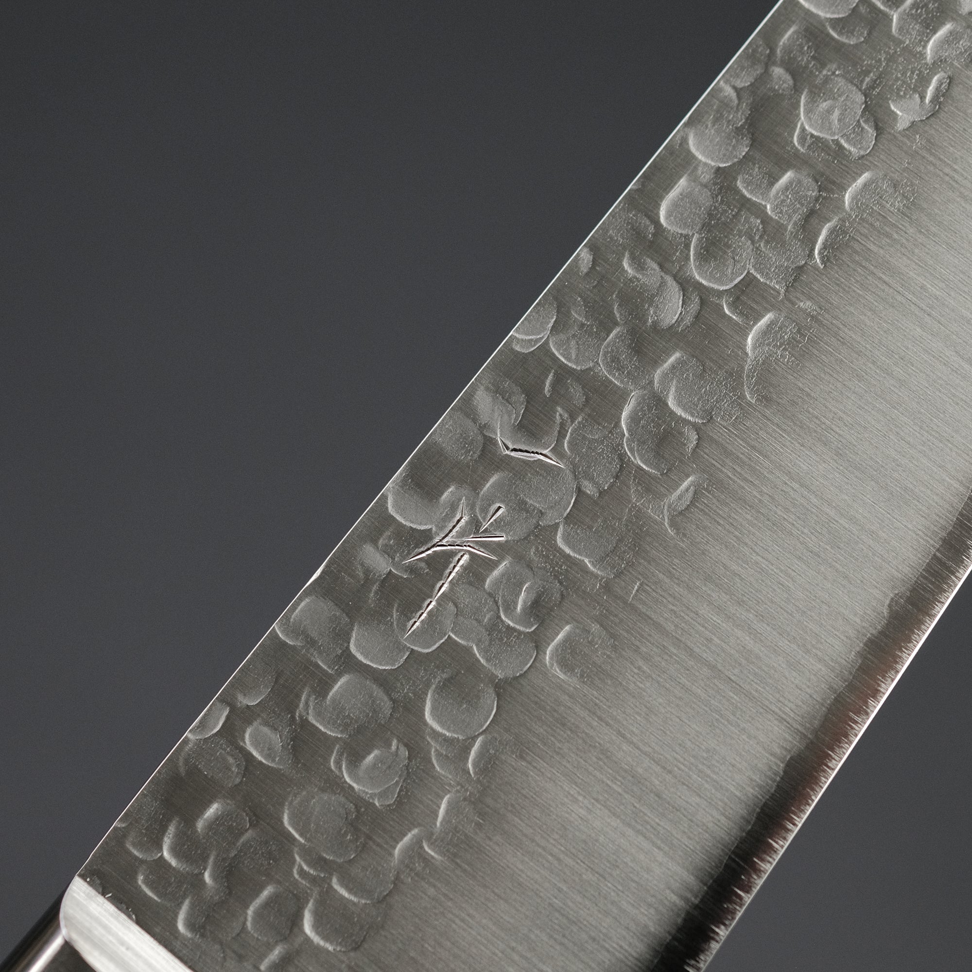 Hitohira T10 Tsuchime Gyuto 180mm Pakka Handle