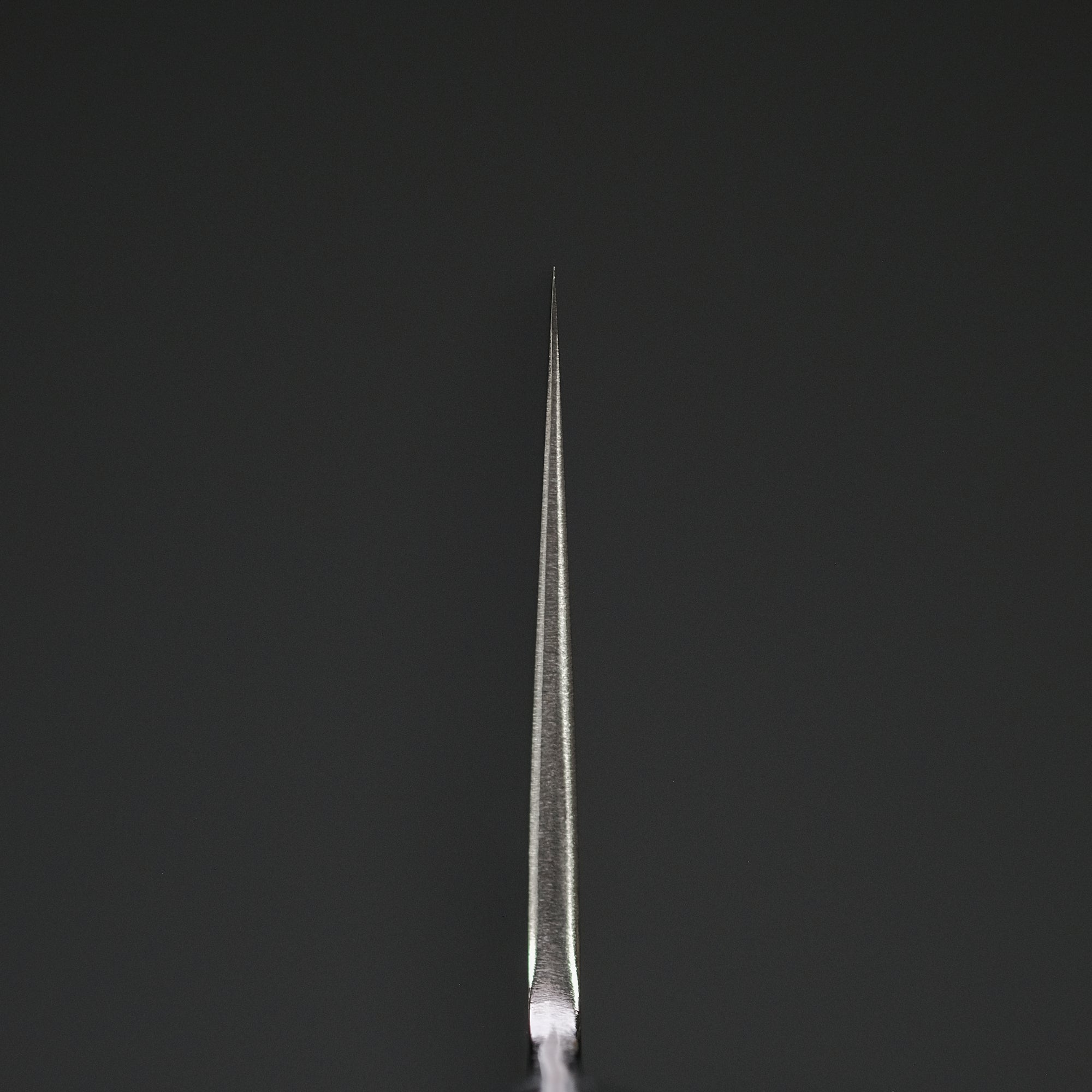 Hitohira T10 Tsuchime Gyuto 210mm Pakka Handle