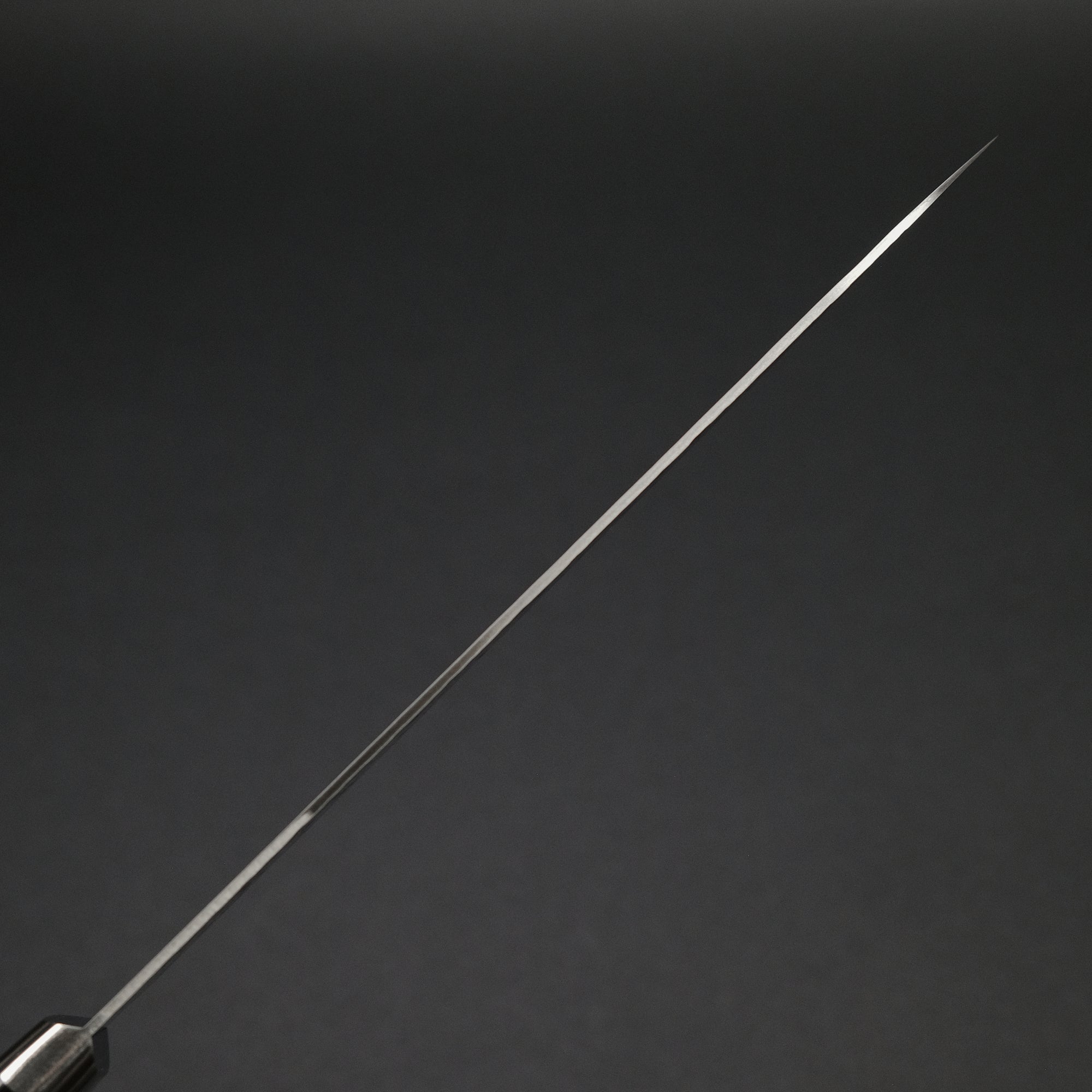 Hitohira T10 Tsuchime Gyuto 210mm Pakka Handle