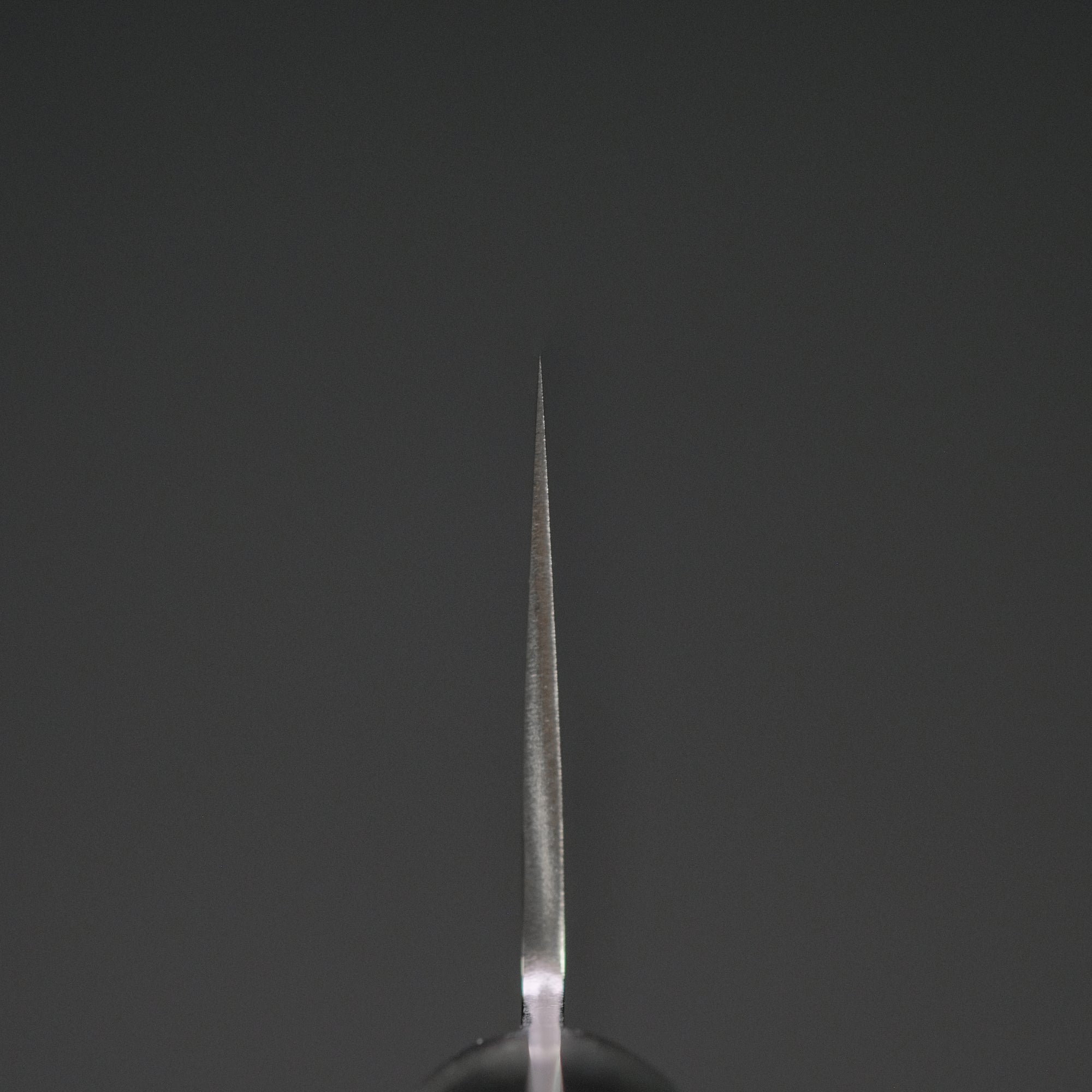Hitohira T10 Tsuchime Santoku 165mm Pakka Handle