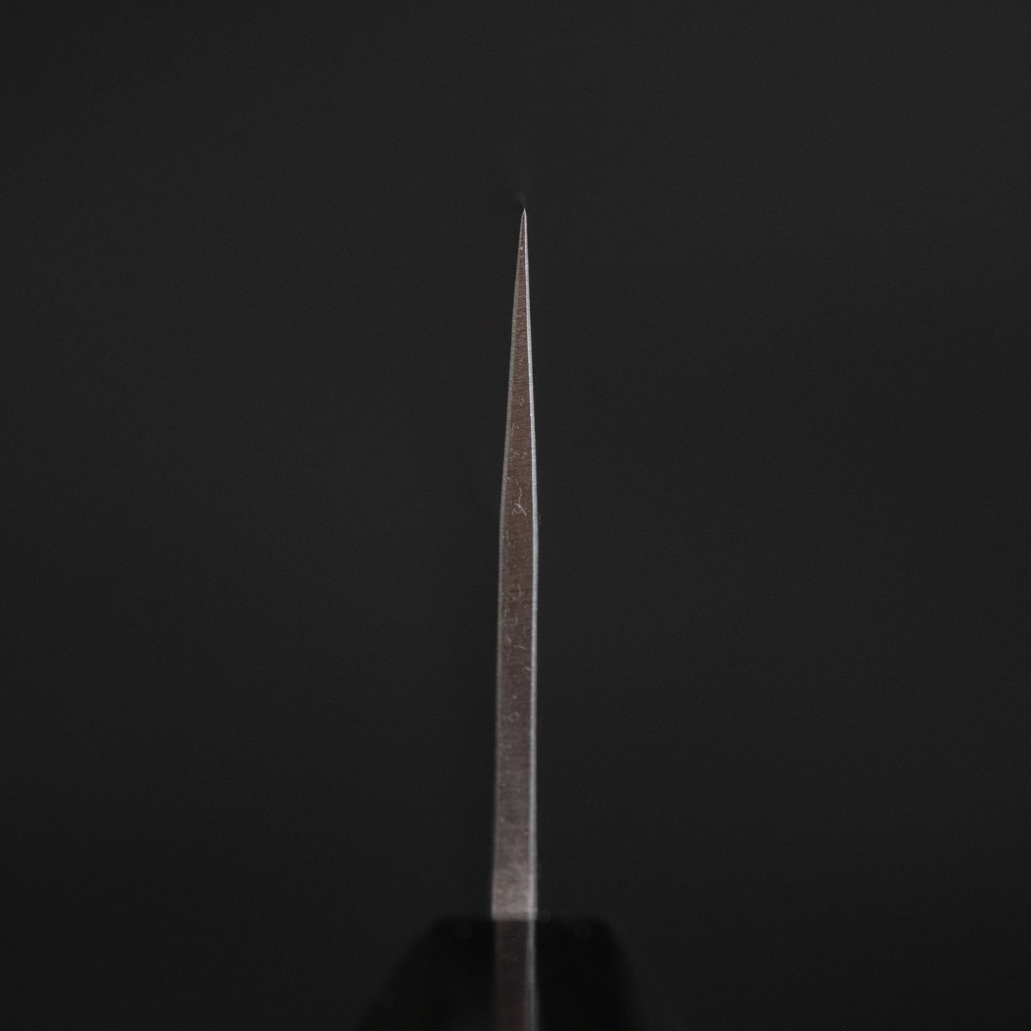 Hitohira TD Blue #2 Stainless Clad Kurouchi Gyuto 240mm Ho Wood Handle