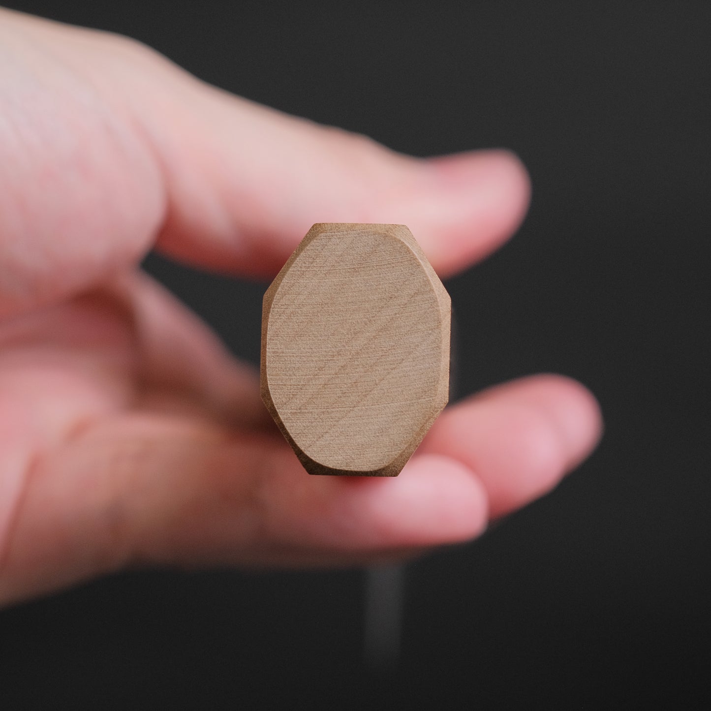 Hitohira TD Blue #2 Stainless Clad Kurouchi Gyuto 240mm Ho Wood Handle