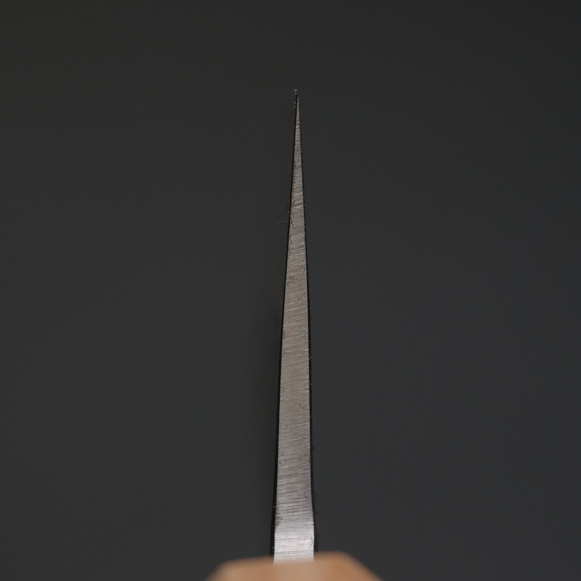 Hitohira TD SLD Nashiji Gyuto 240mm Walnut Handle
