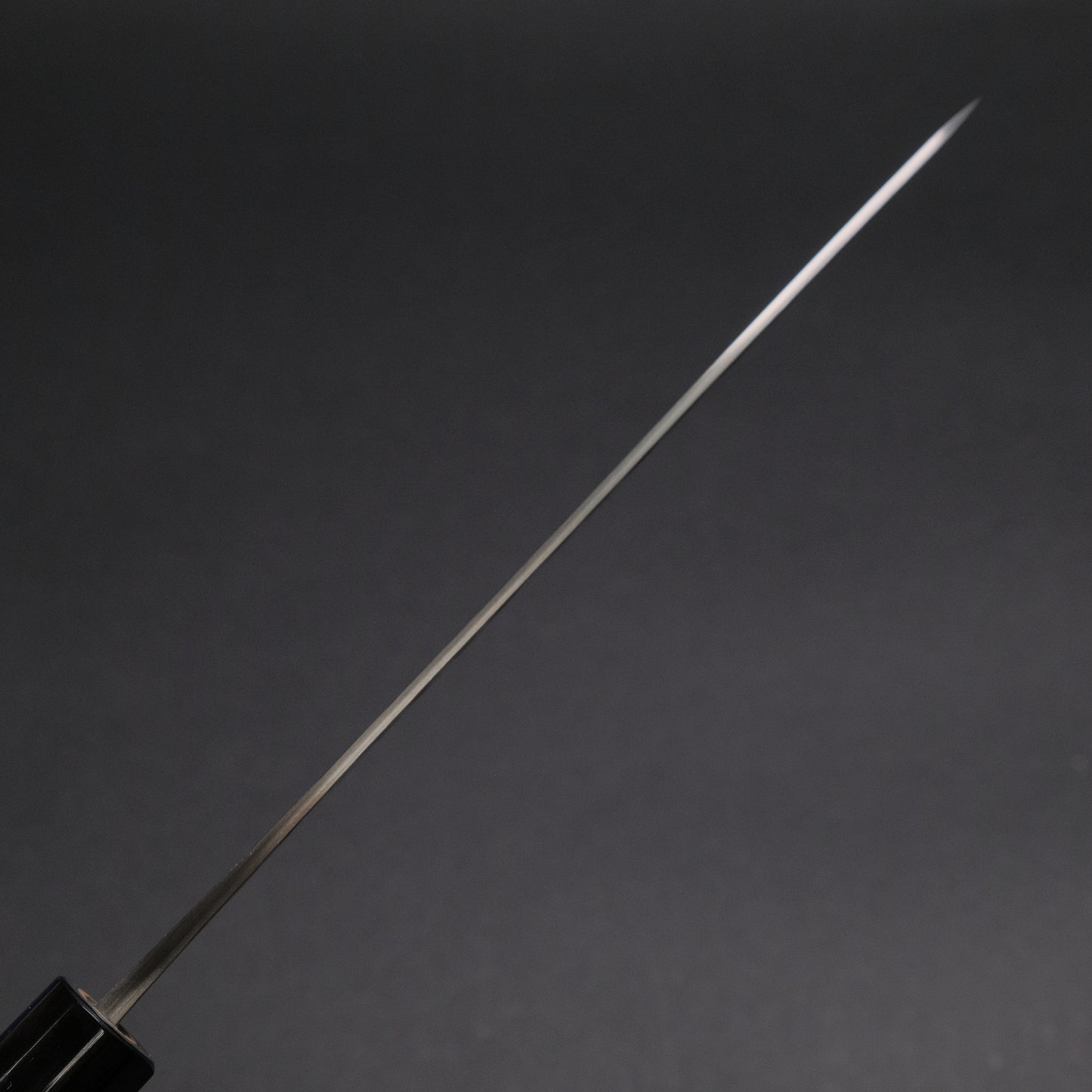 Hitohira TD SLD Tsuchime Gyuto 210mm Ho Wood Handle