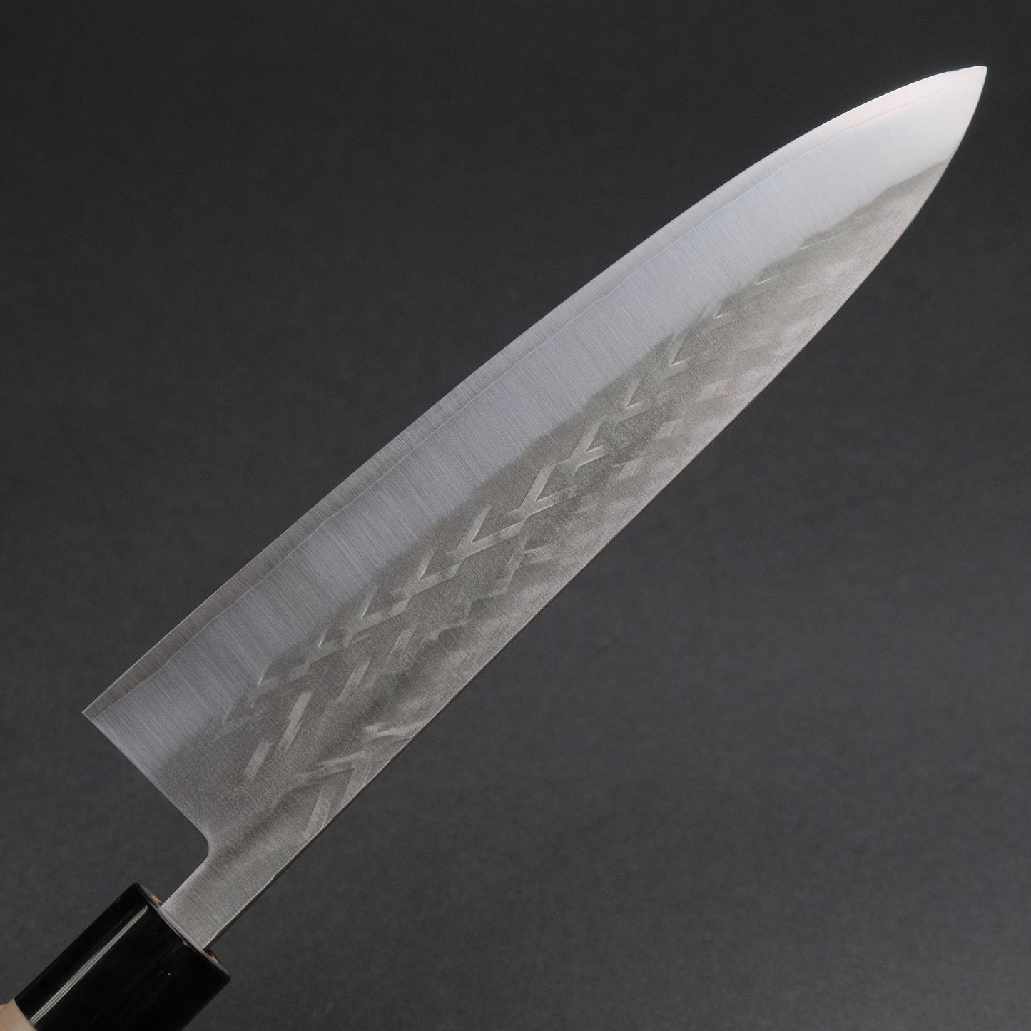 Hitohira TD SLD Tsuchime Gyuto 210mm Ho Wood Handle