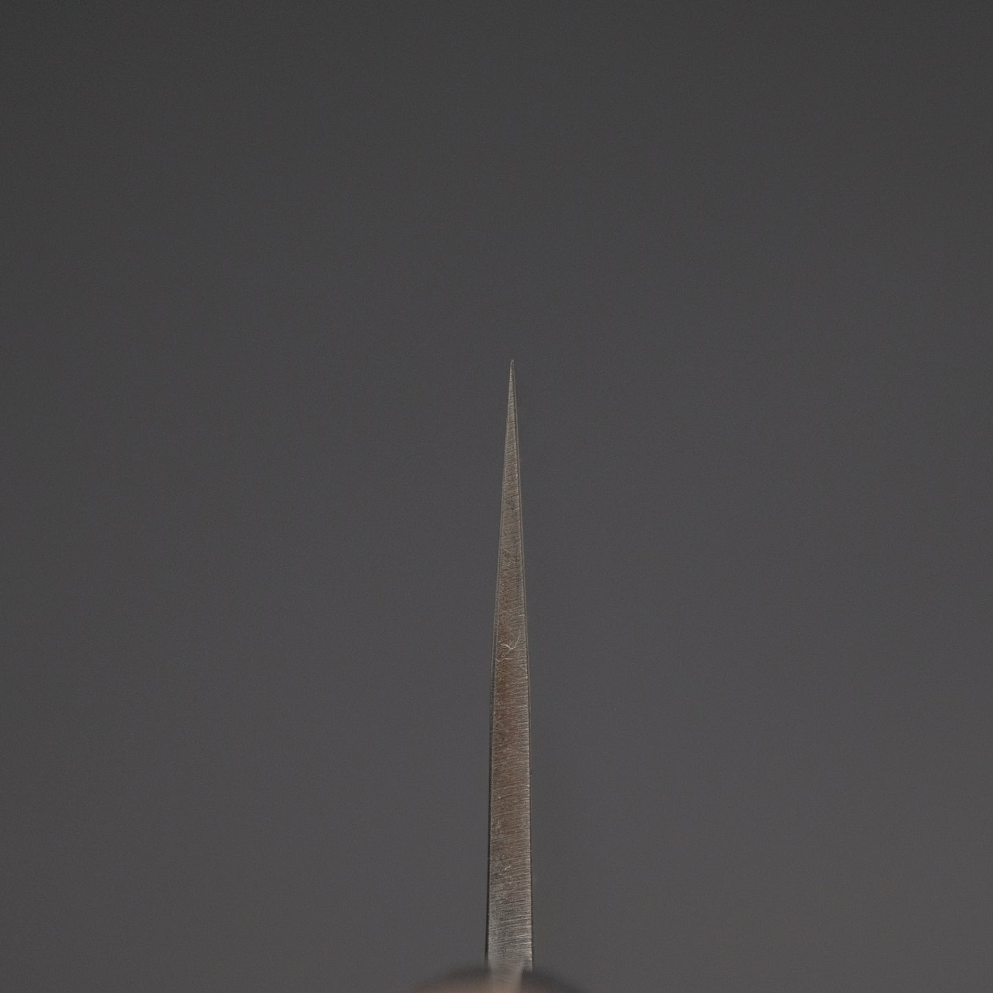 Hitohira TD SLD Tsuchime Gyuto 210mm Ho Wood Handle