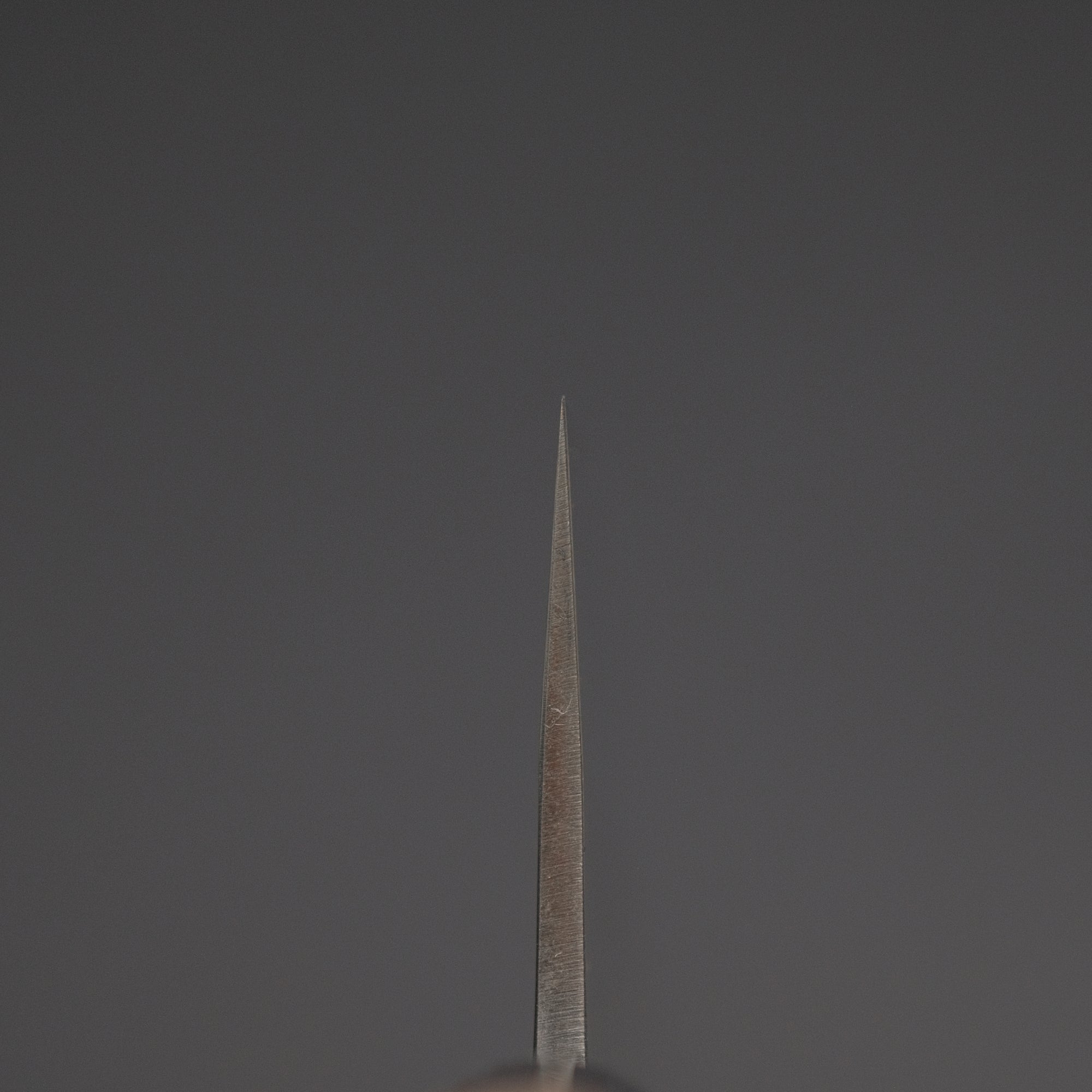 Hitohira TD SLD Tsuchime Gyuto 210mm Ho Wood Handle