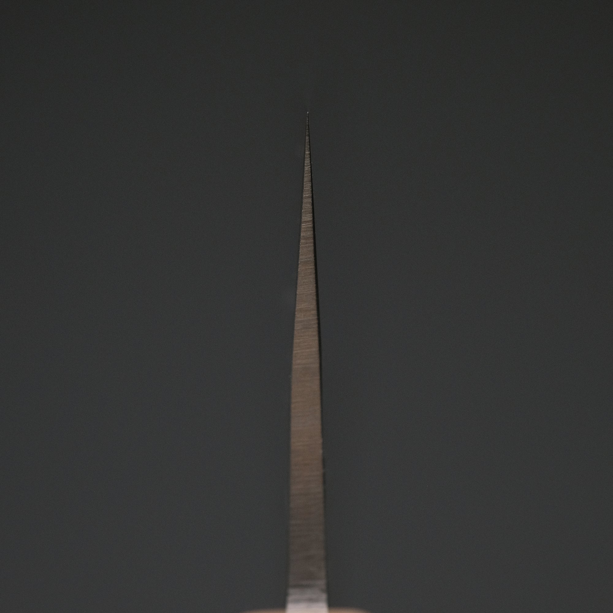 Hitohira TD SLD Tsuchime Gyuto 210mm Walnut Handle