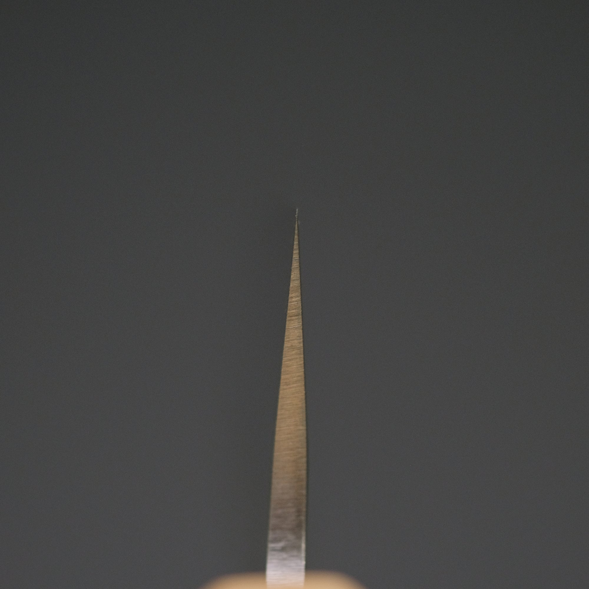 Hitohira TD SLD Tsuchime Petty 150mm Walnut Handle