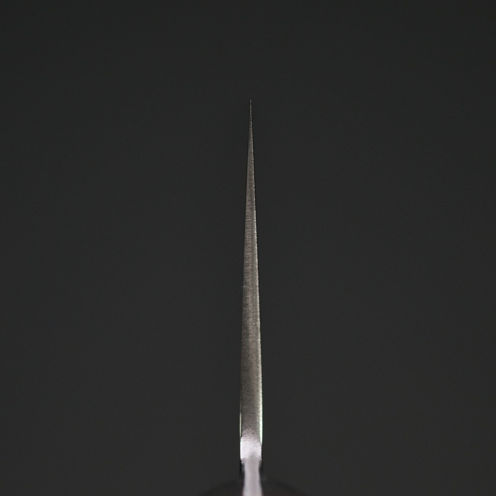 Hitohira TP Gyuto 180mm Wine Pakka Handle