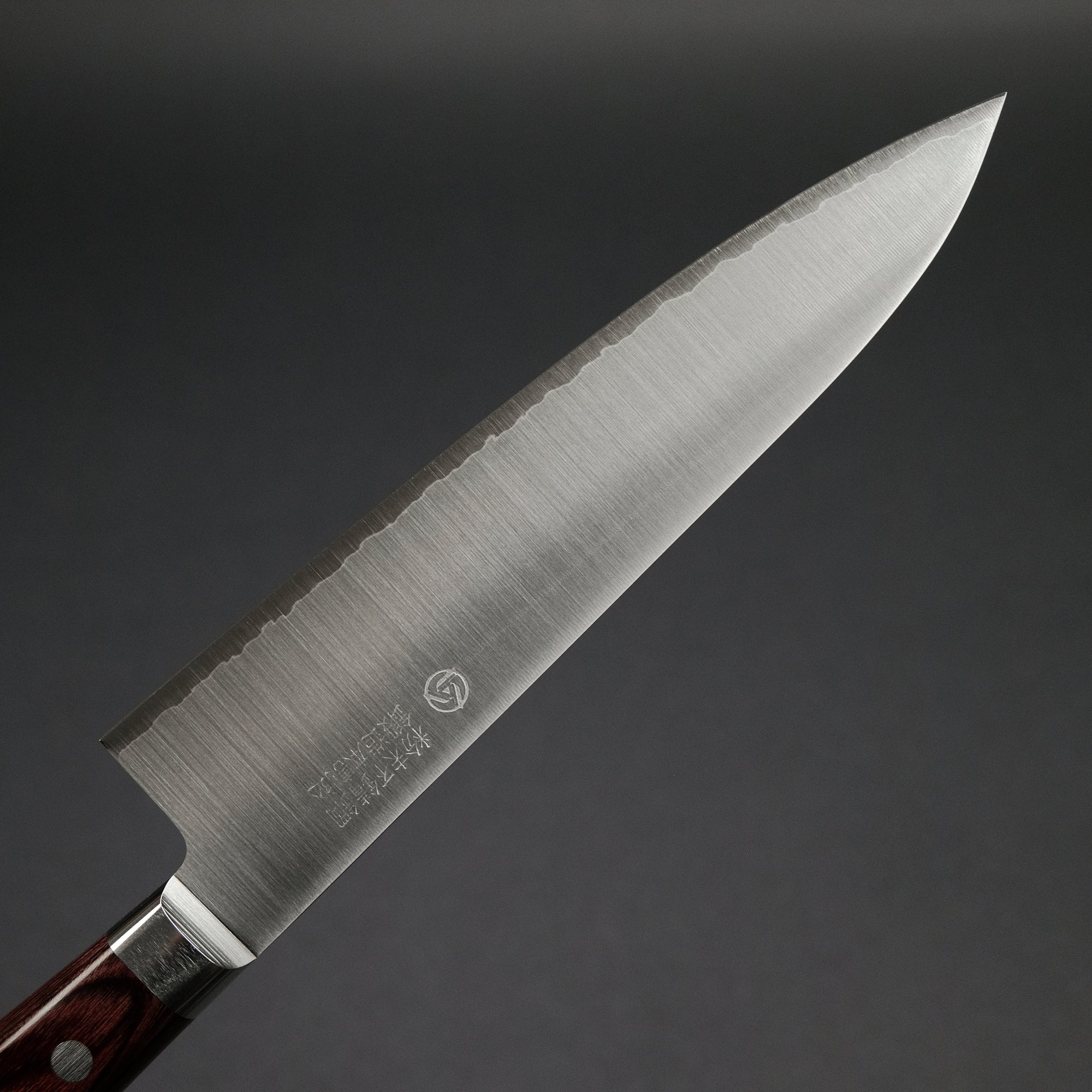 Hitohira TP Gyuto 180mm Wine Pakka Handle