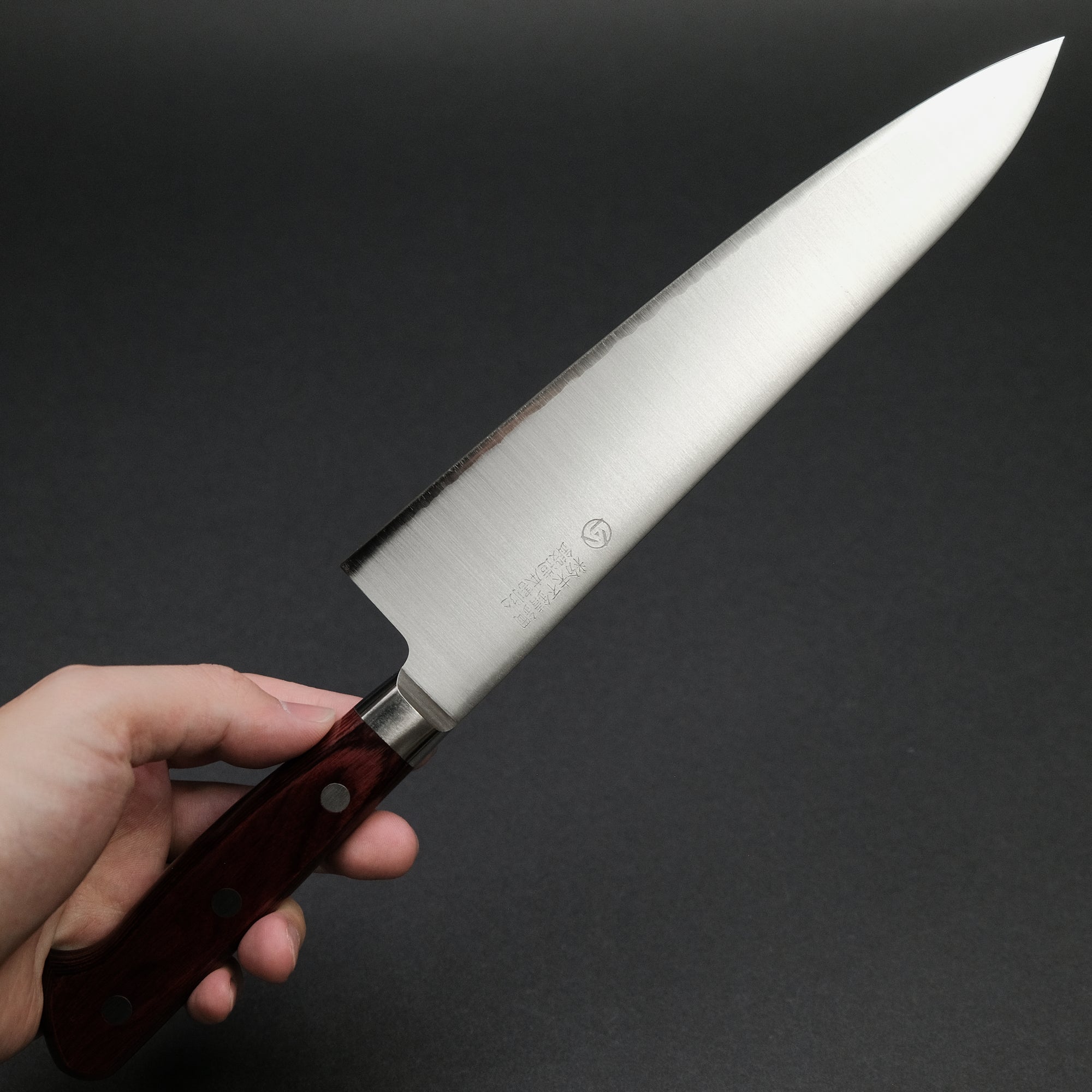 Hitohira TP Gyuto 210mm Wine Pakka Handle