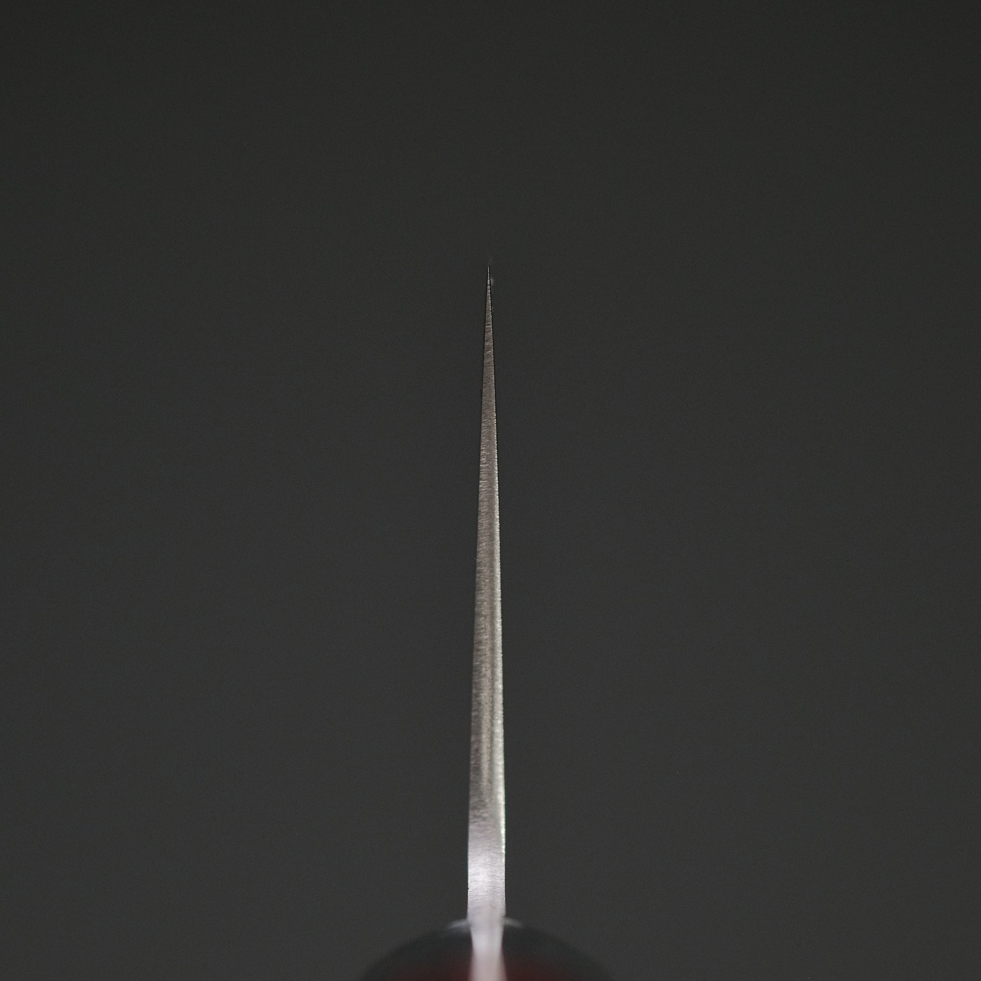 Hitohira TP Gyuto 210mm Wine Pakka Handle