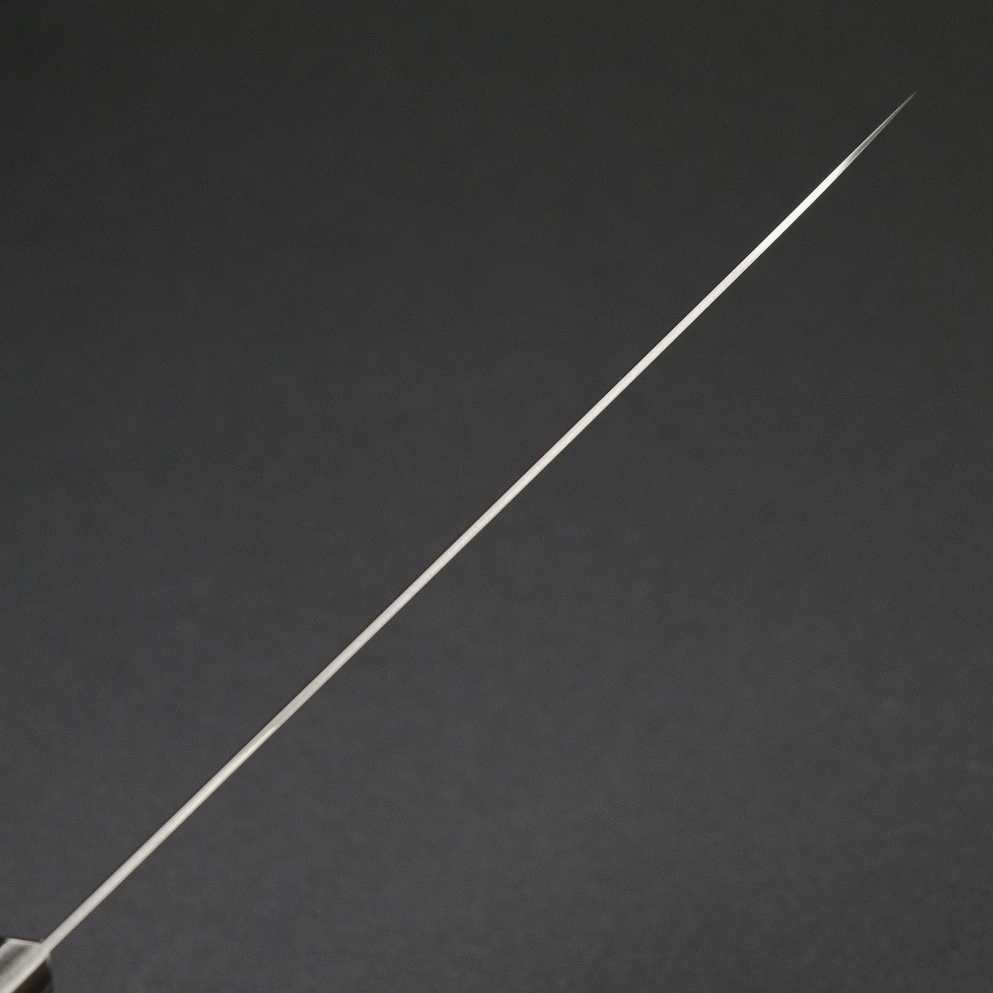 Hitohira TP Gyuto 210mm Wine Pakka Handle