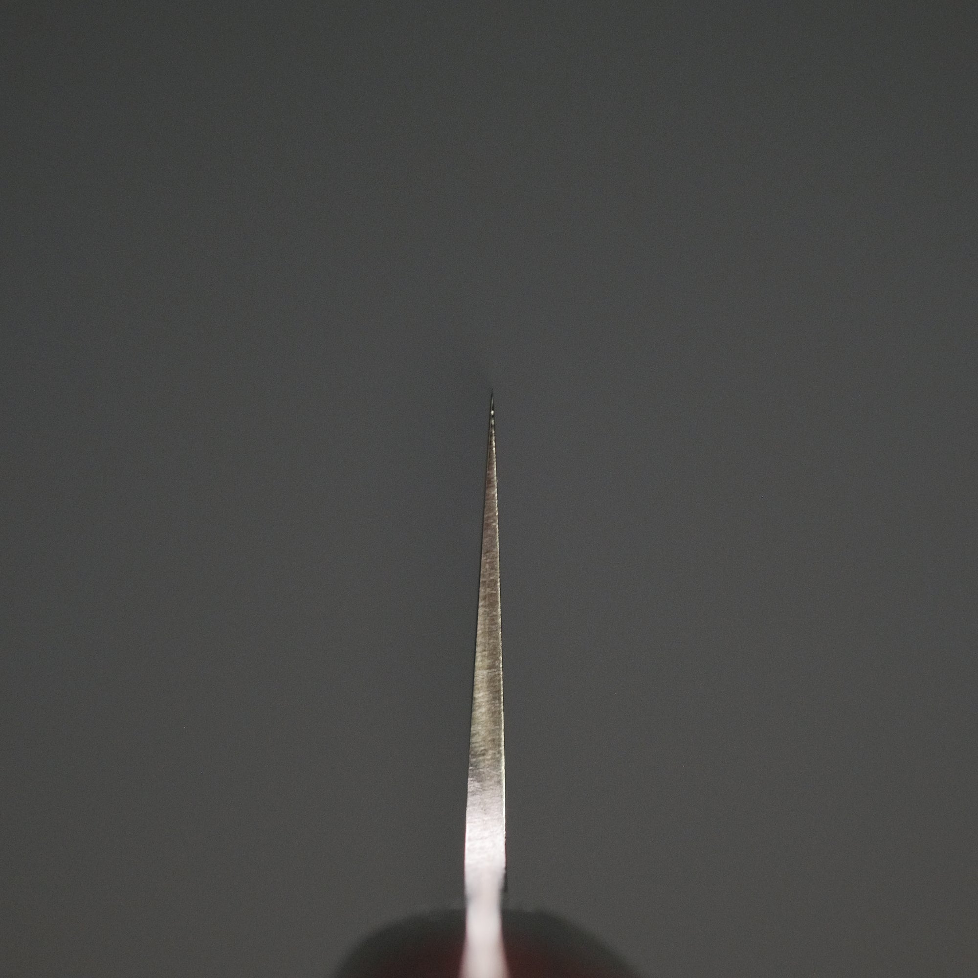 Hitohira TP Petty 150mm Wine Pakka Handle