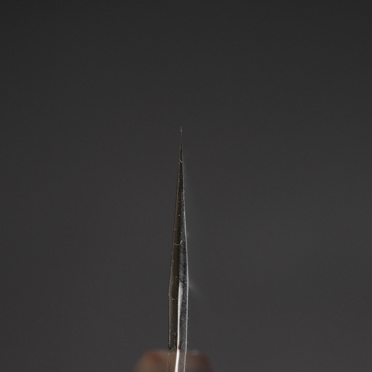 Hitohira Tanaka Kyuzo Blue Super Migaki Gyuto 240mm Ebony Handle