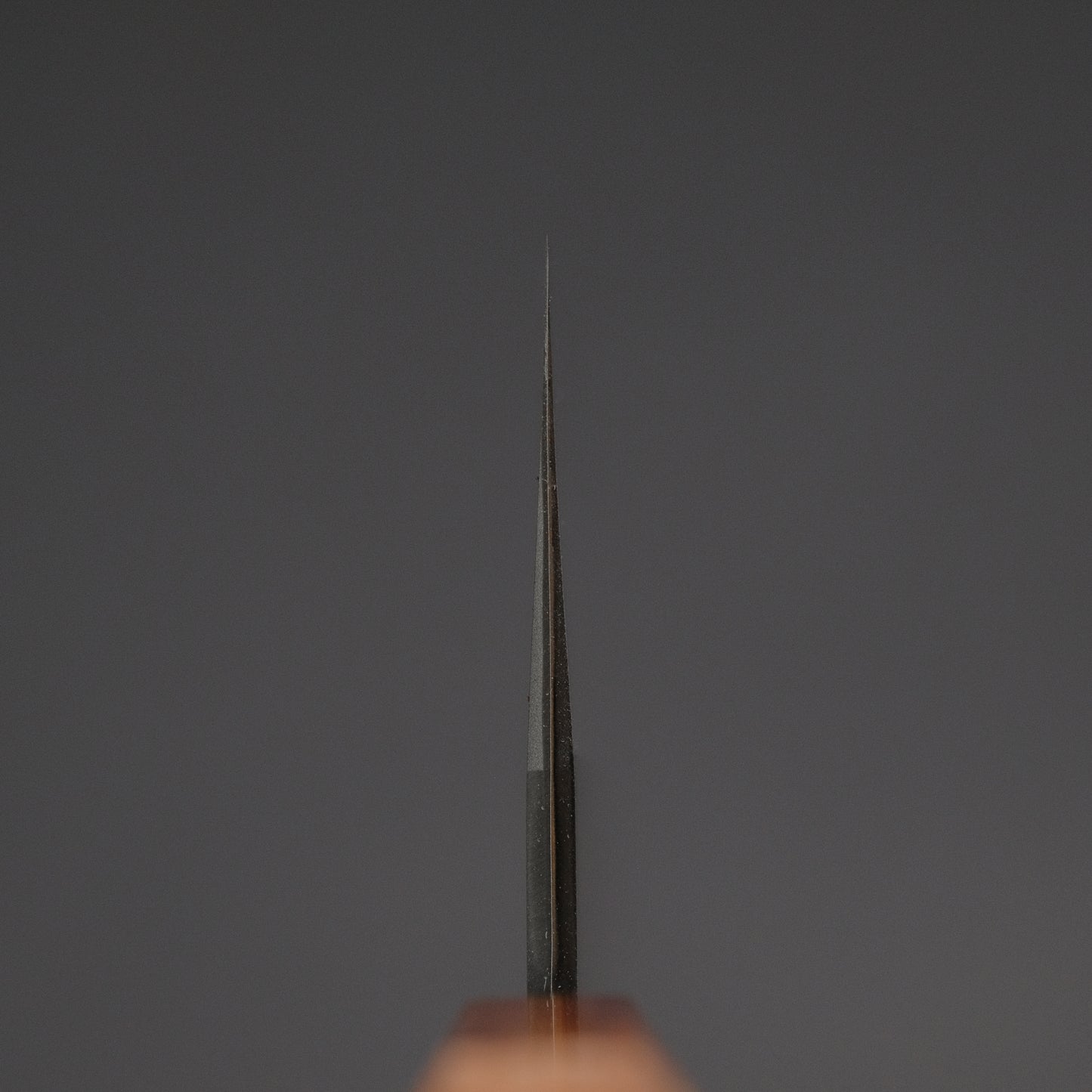Hitohira Tanaka Kyuzo Blue #1 Kurouchi Gyuto 240mm Yakusugi Cedar Handle (Extra Height)