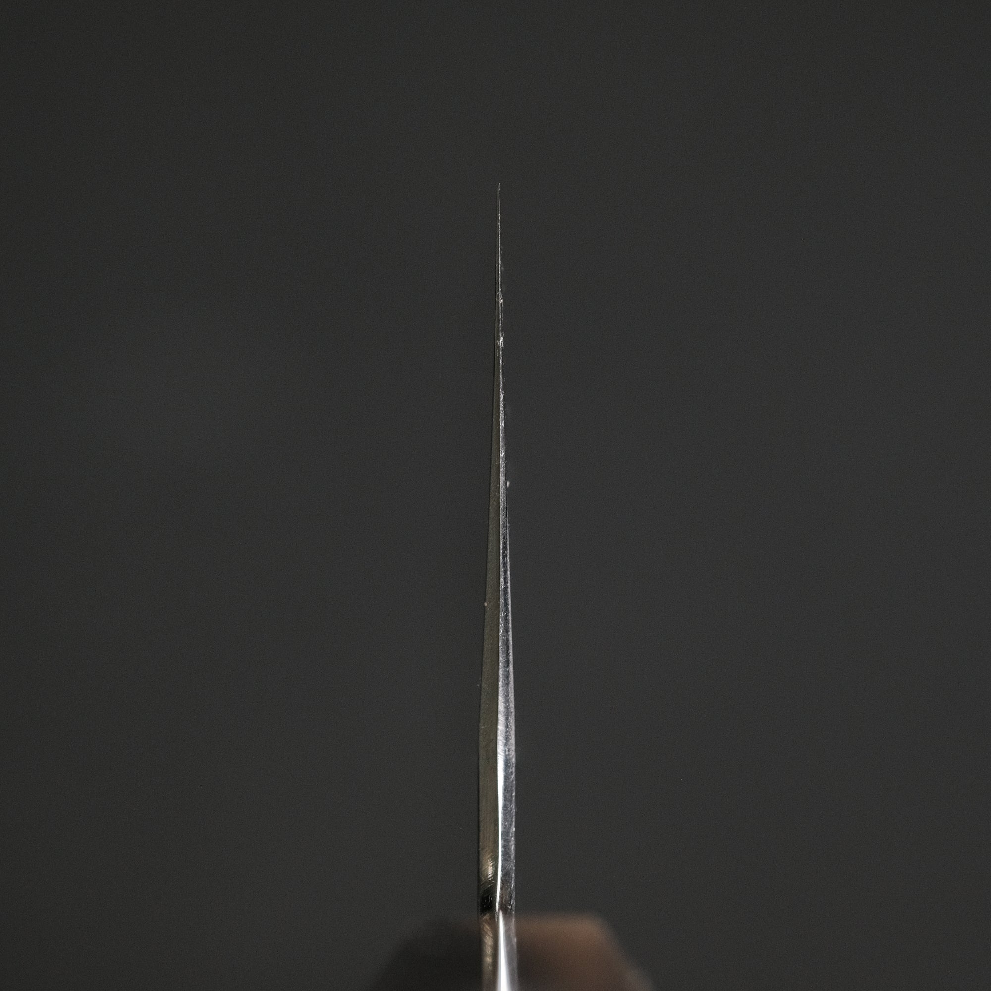 Hitohira Tanaka Kyuzo Blue 