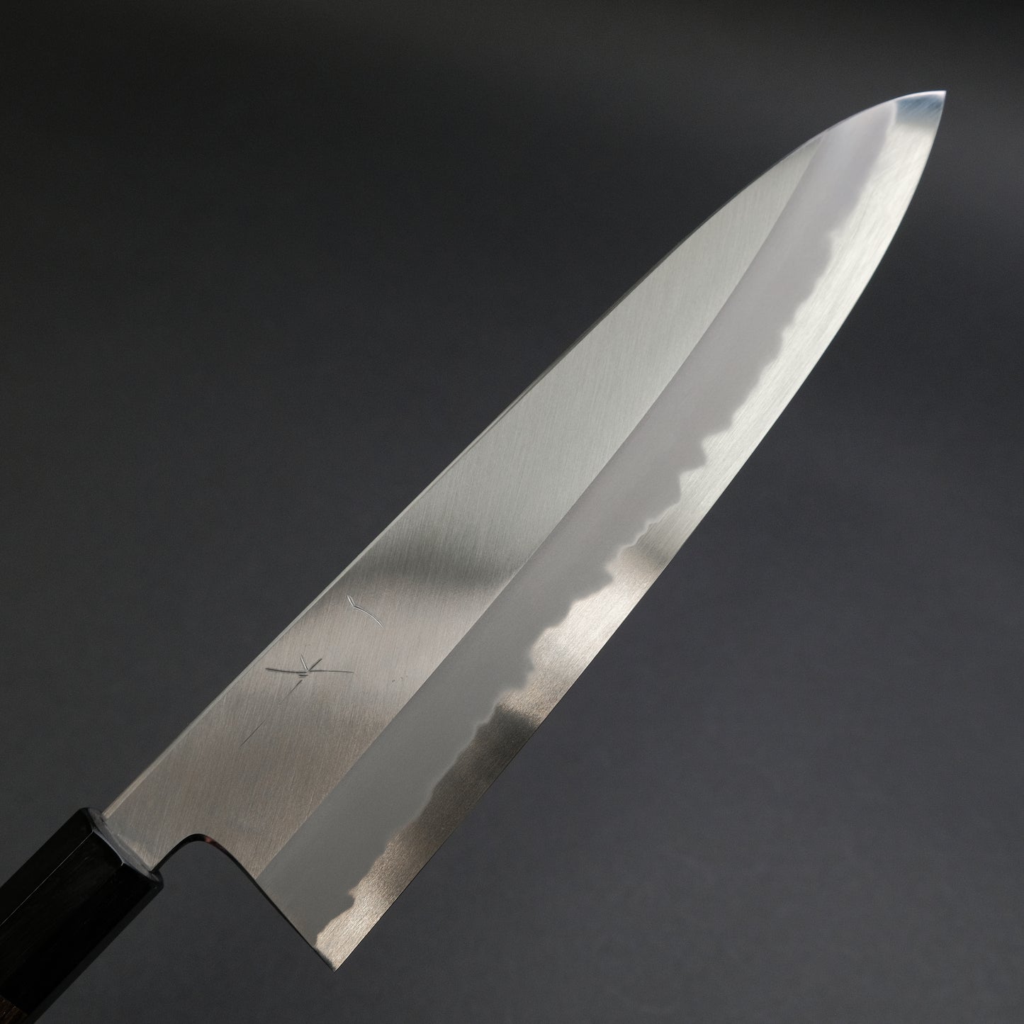 Hitohira Tanaka Kyuzo Blue #1 Migaki Gyuto 240mm Ziricote Handle (Extra Height)